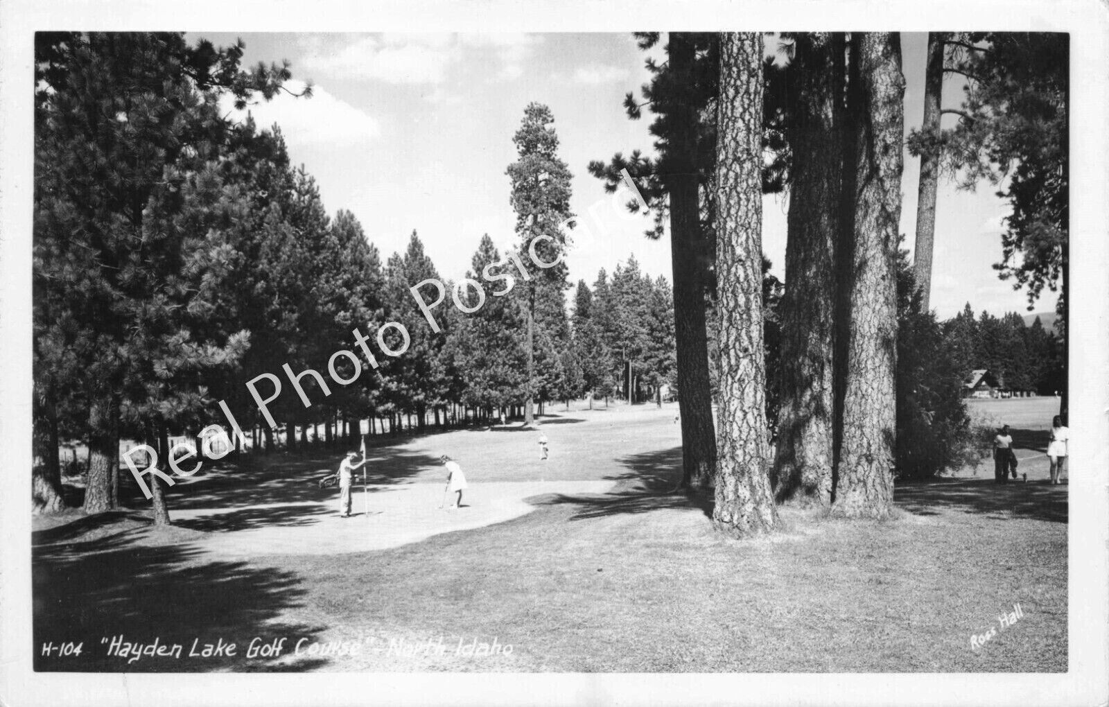 RPPC Hayden Lake Golf Course Golfers Putting by Ross Hall Real Photo Postcard