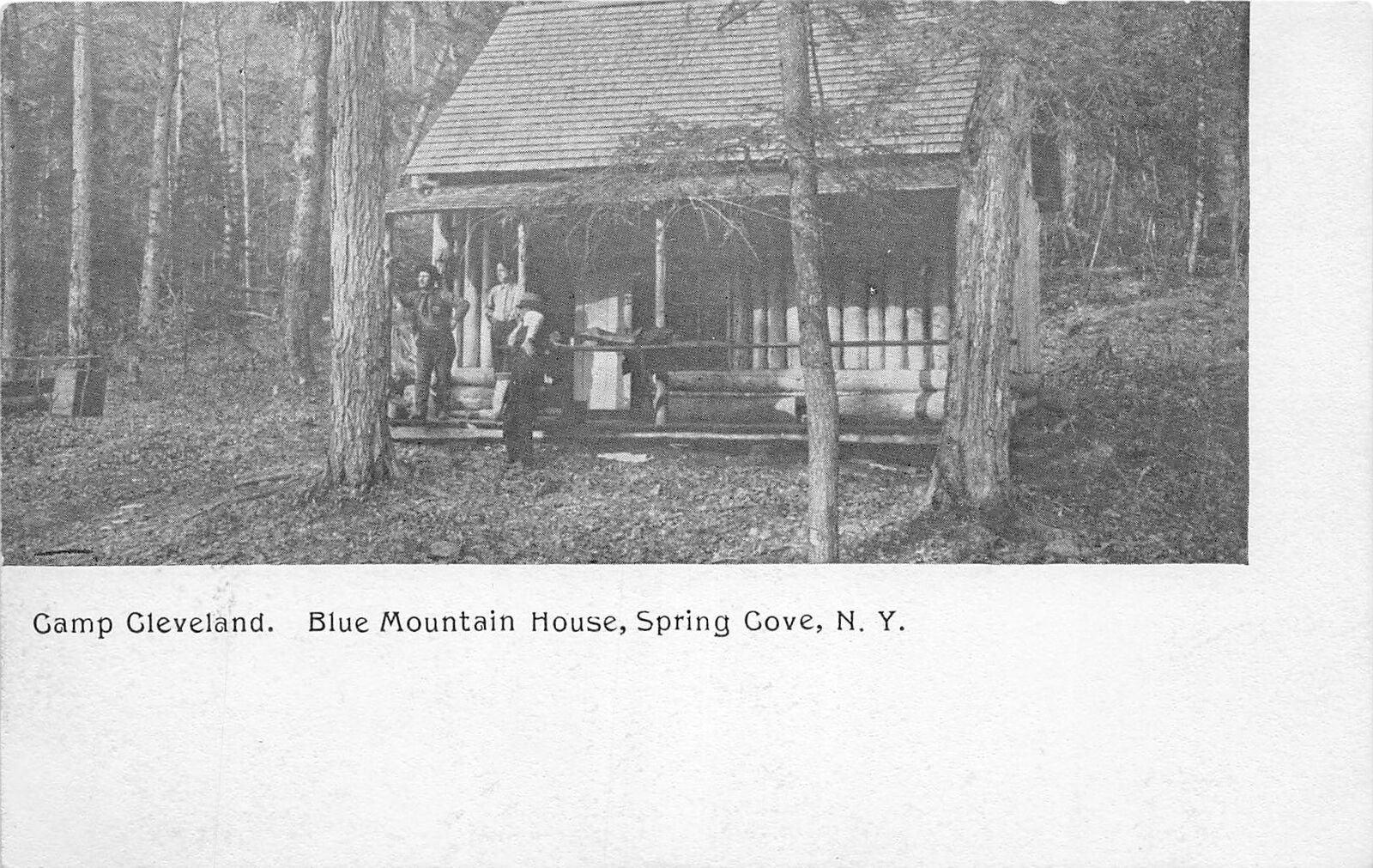 PC1/ Adirondacks Spring Cove New York Postcard c1910 Camp Cleveland 273