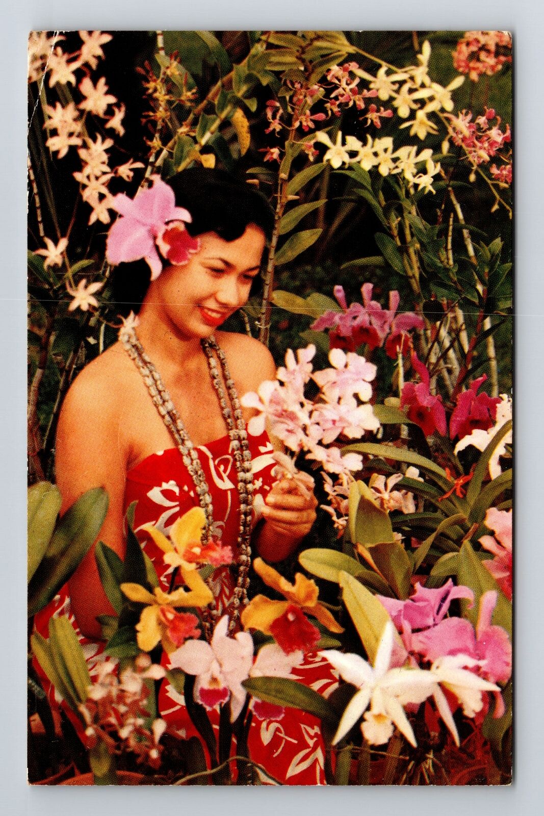 Honolulu HI-Hawaii, Woman in Hawaii's Orchids, c1963, Vintage Postcard