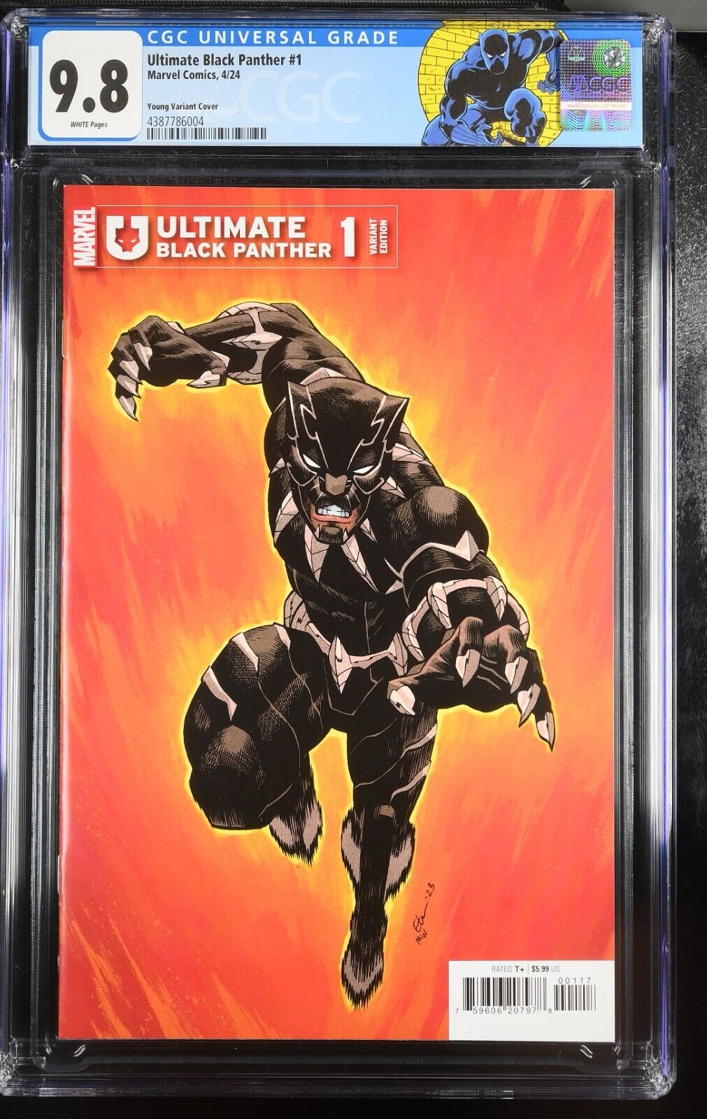 Ultimate Black Panther #1 CGC 9.8 1:25 Young Variant Marvel 2024 Custom Label 🔥
