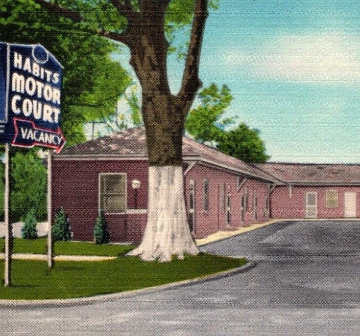 Habit's Motor Court Edenton RUN BY HABITS North Carolina Vintage Postcard 6956