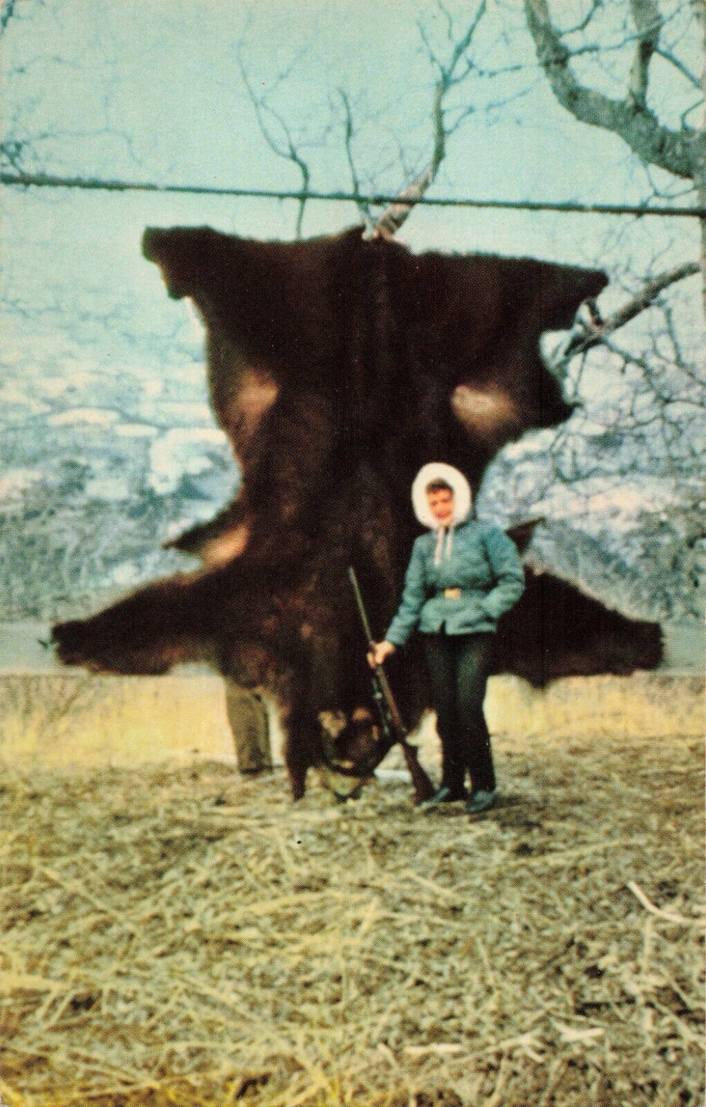 Kodiak Island AK Alaska, Bear Hunter w/ Giant Kodiak Bear Skin, Vintage Postcard