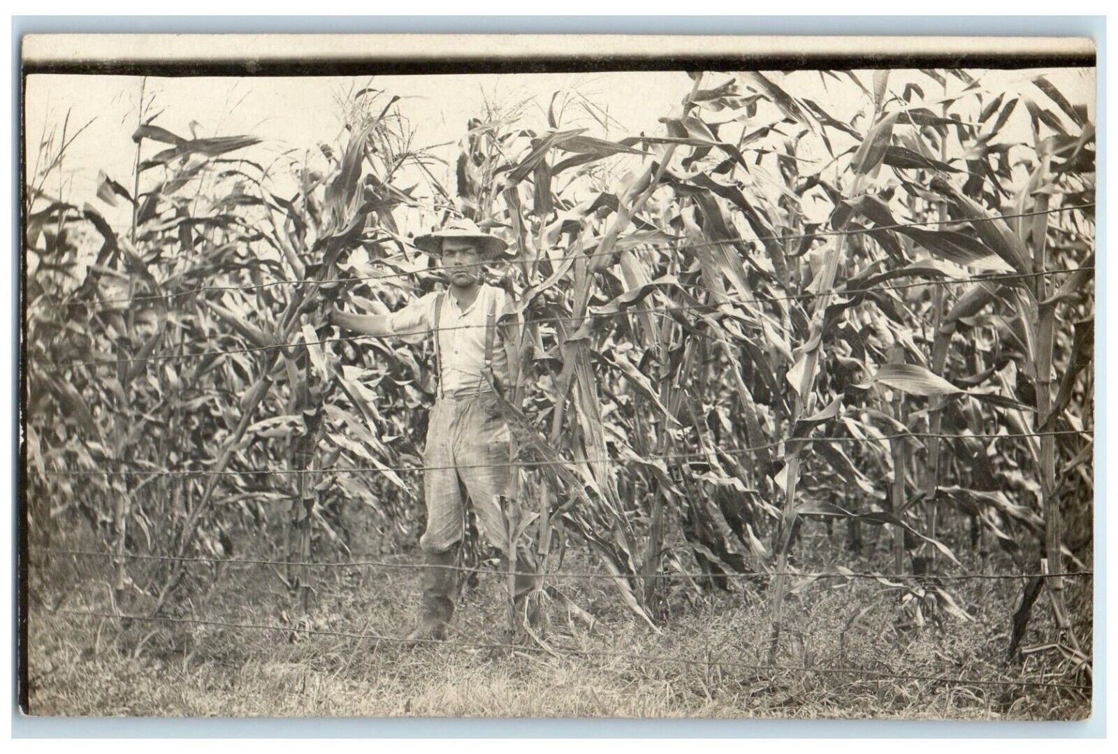 c1910's Farming Corn Farmer Field RPPC Photo Unposted Antique Postcard
