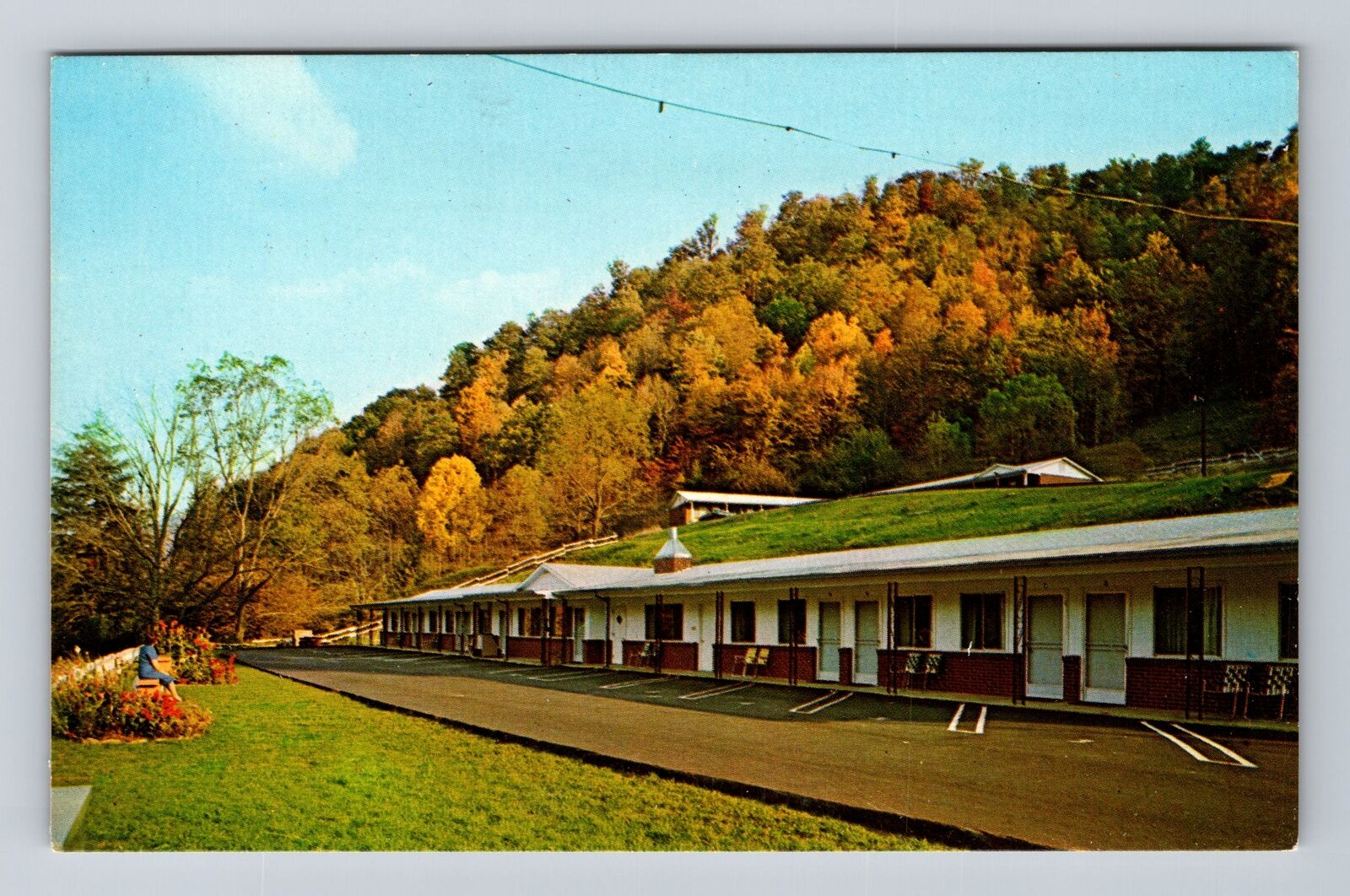 Maggie NC-North Carolina, Three Pines Motel, Advertising Vintage Postcard