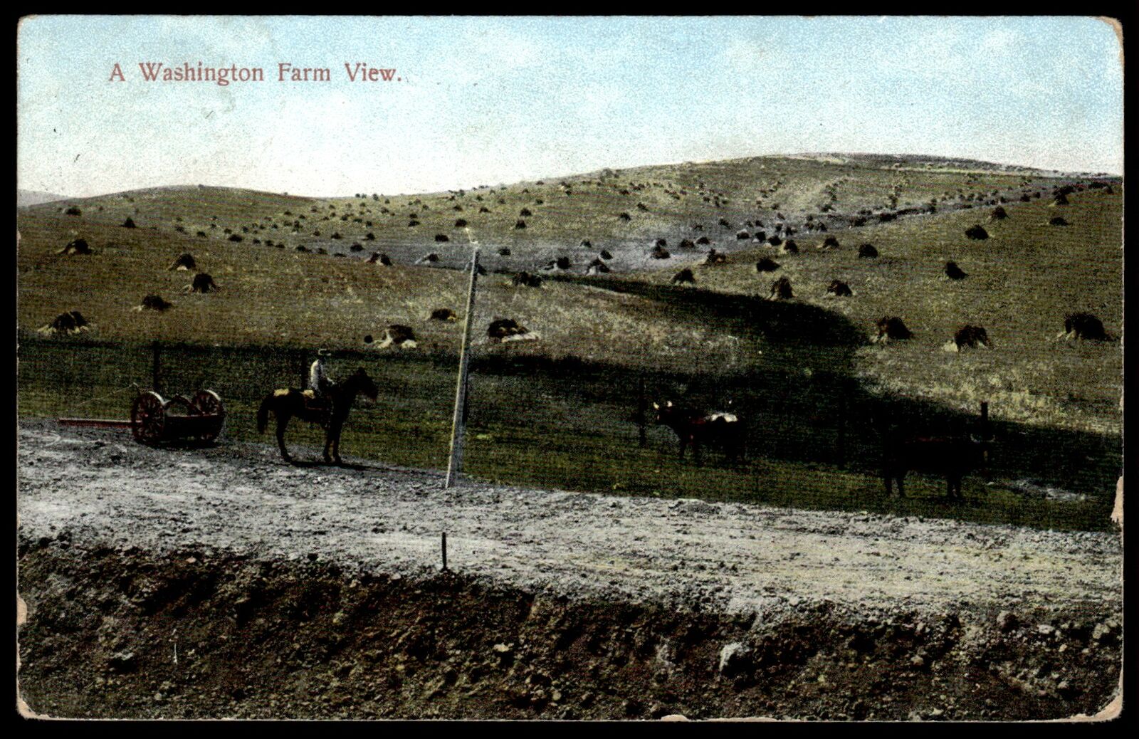 1910 Postard Washington Farm WA Horse Rider Cart Cattle Postcard #1