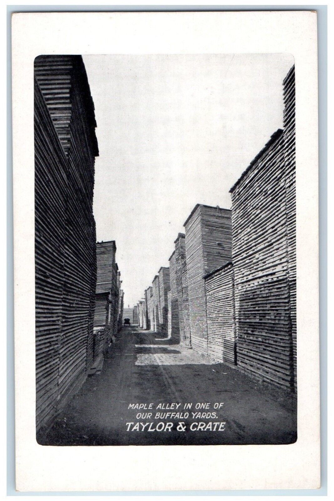 1909 Maple Alley One Buffalo Yards Lumber Taylor Crate Buffalo New York Postcard
