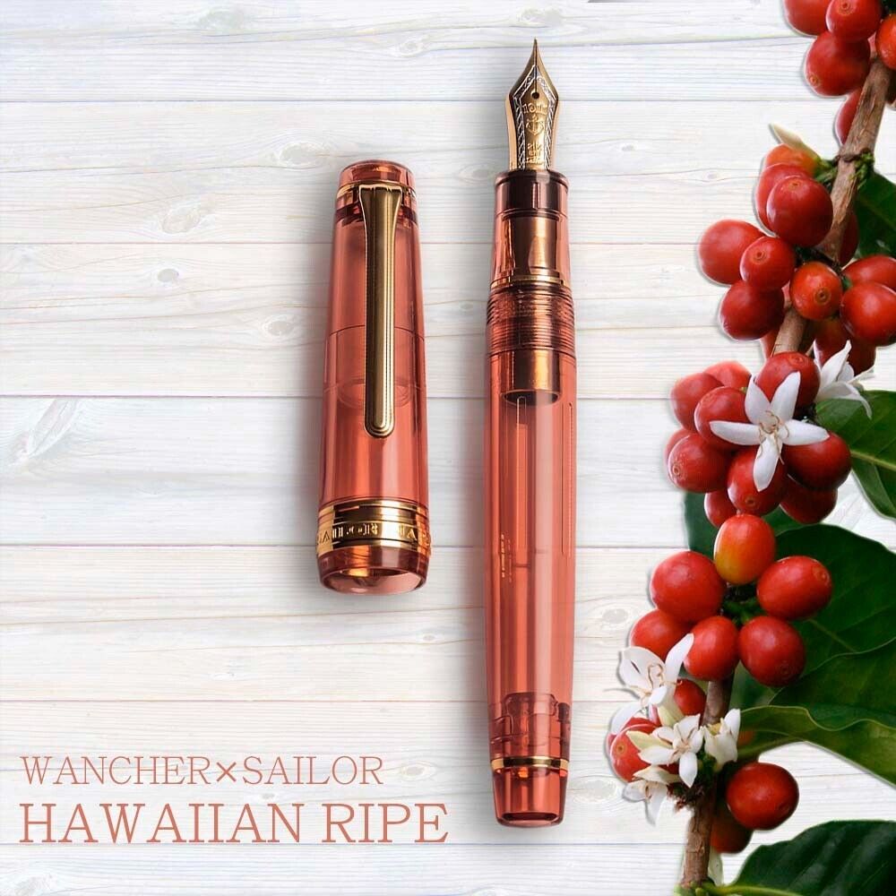 Sailor x Wancher Fountain Pen Pro Gear Hawaiian Ripe Coffee 21K Nib M (medium)