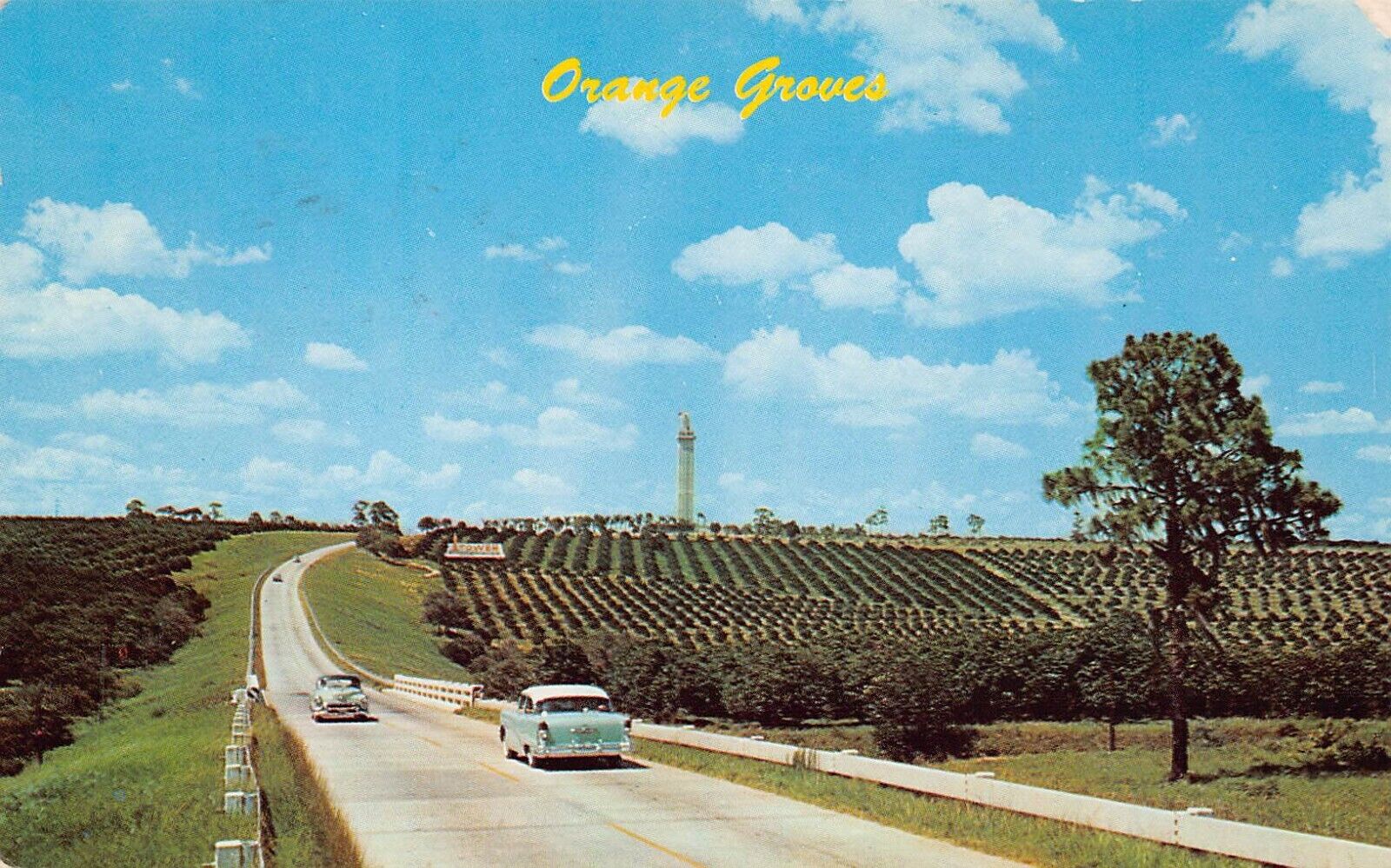 Clermont FL Florida Citrus Tower Orange Groves Orchard Farms Vtg Postcard C65