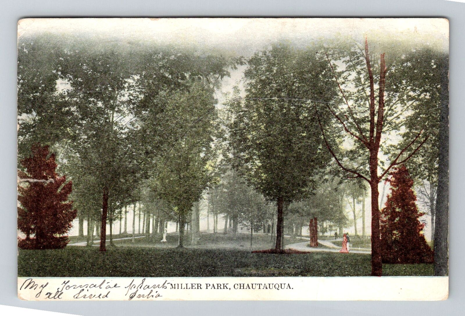 Chautauqua NY-New York, Miller Park Vintage Souvenir Postcard