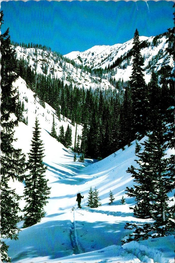 Dillon, CO Colorado  SKI TOURING On GORE RANGE  Skiing~Skiers  4X6 Postcard