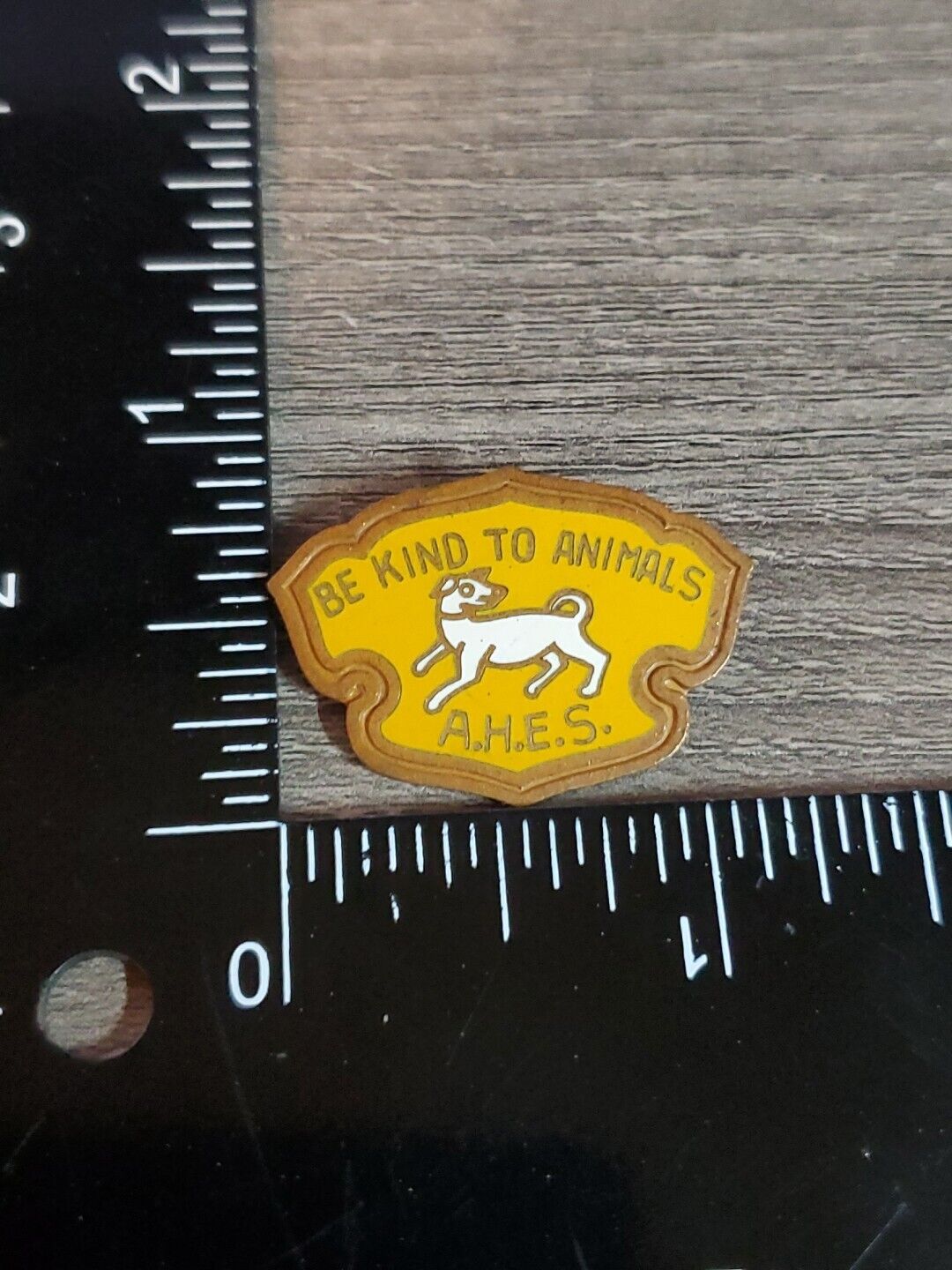Vintage A.H.E.S. Pinback Pin Be Kind To Animals ZY
