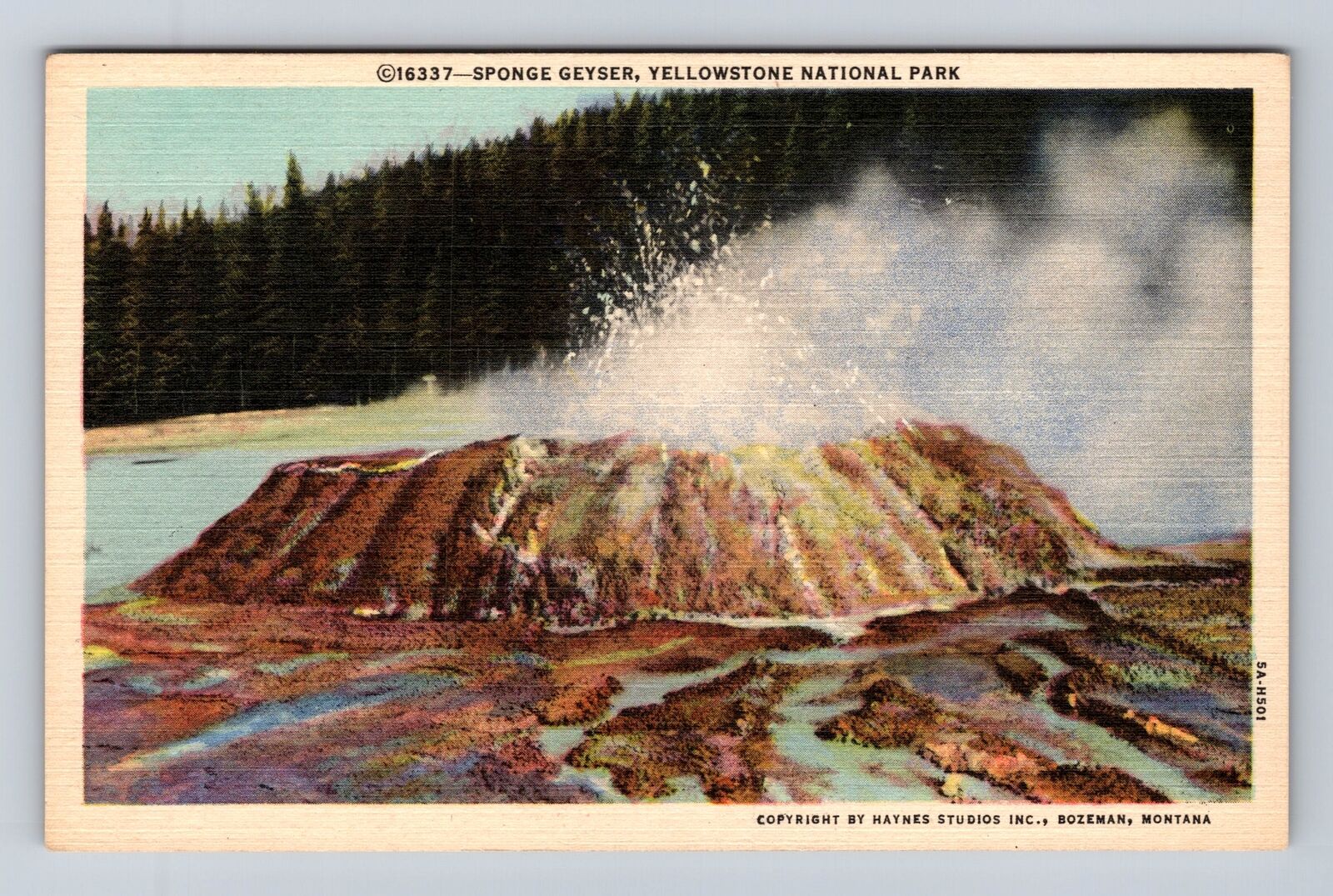 Yellowstone National Park, Sponge Geyser, Series #16337, Vintage Postcard