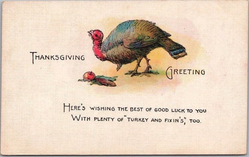 c1910s THANKSGIVING Postcard Turkeys \