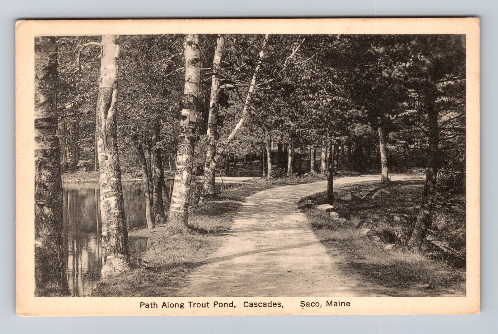 Saco ME-Maine, Path Along Trout Pond, Cascades, Vintage Souvenir Postcard