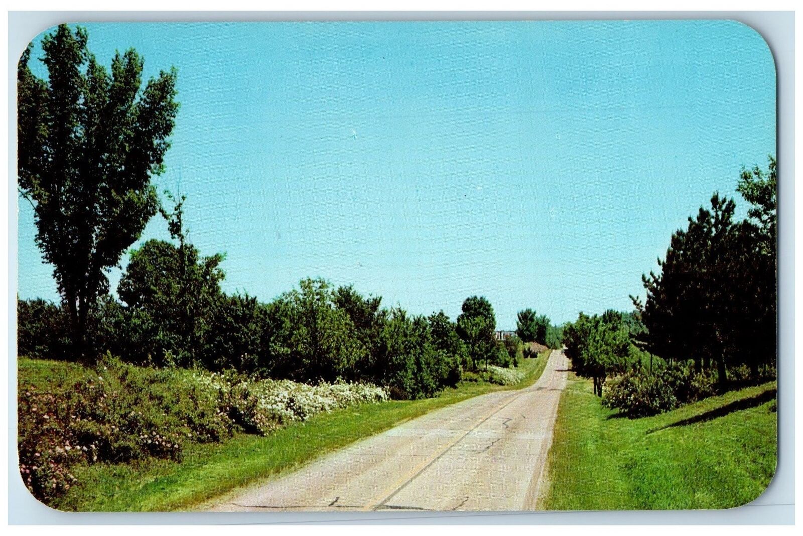 c1960s Ten Mile Garden Between Jackson And Cape Girardeau Missouri MO Postcard
