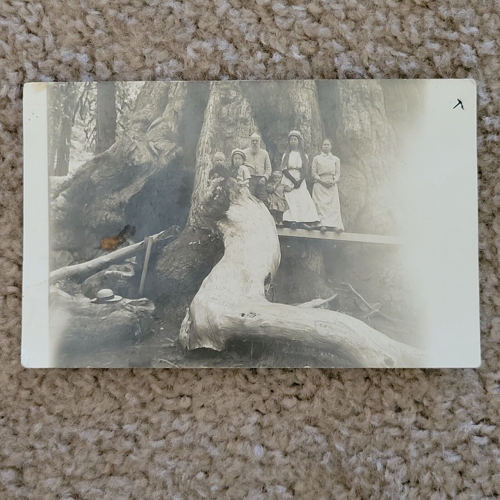 Antique RPPC American West Turn Of The Century Camping Family