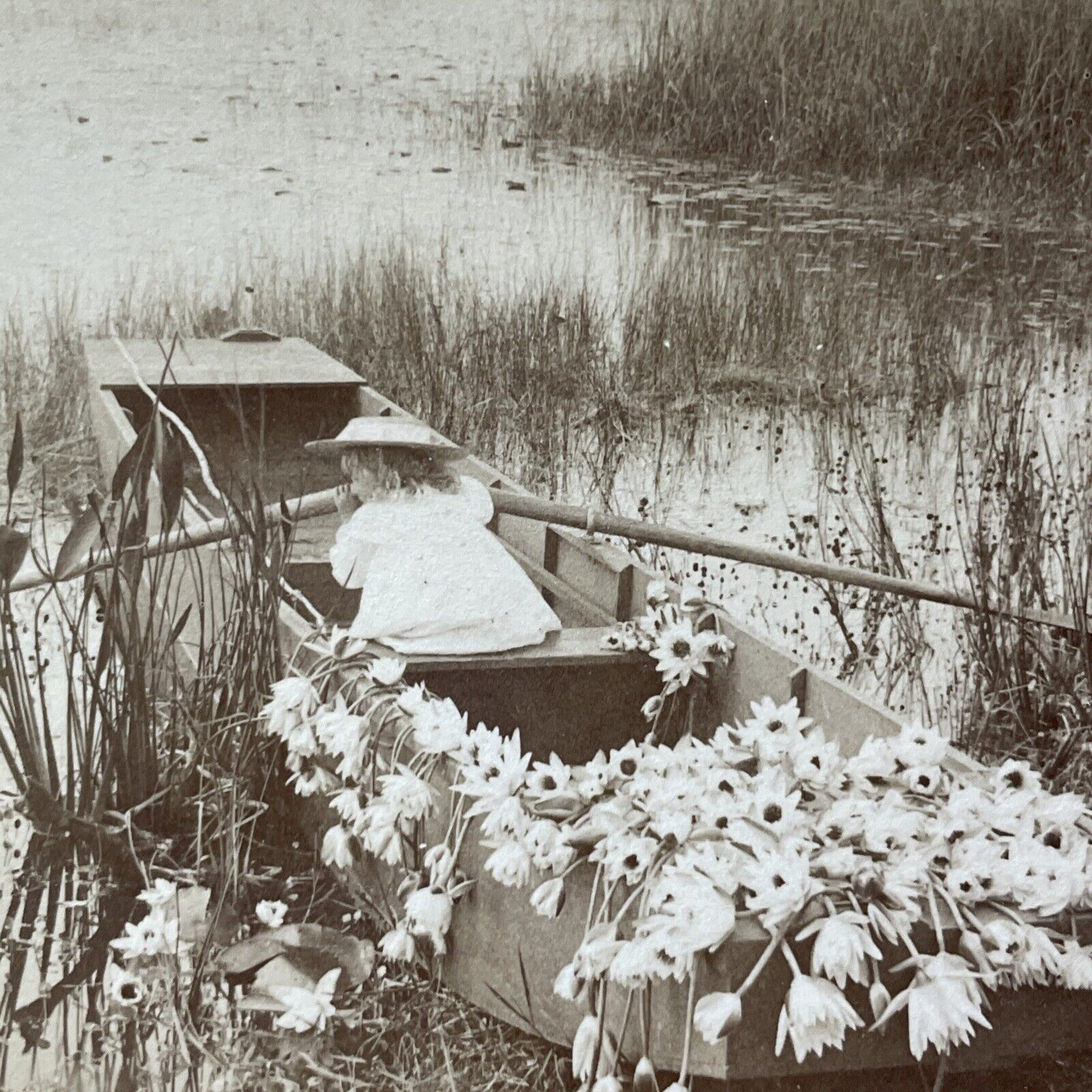 Antique 1899 Rowboat In The Florida Everglades Stereoview Photo Card V3244