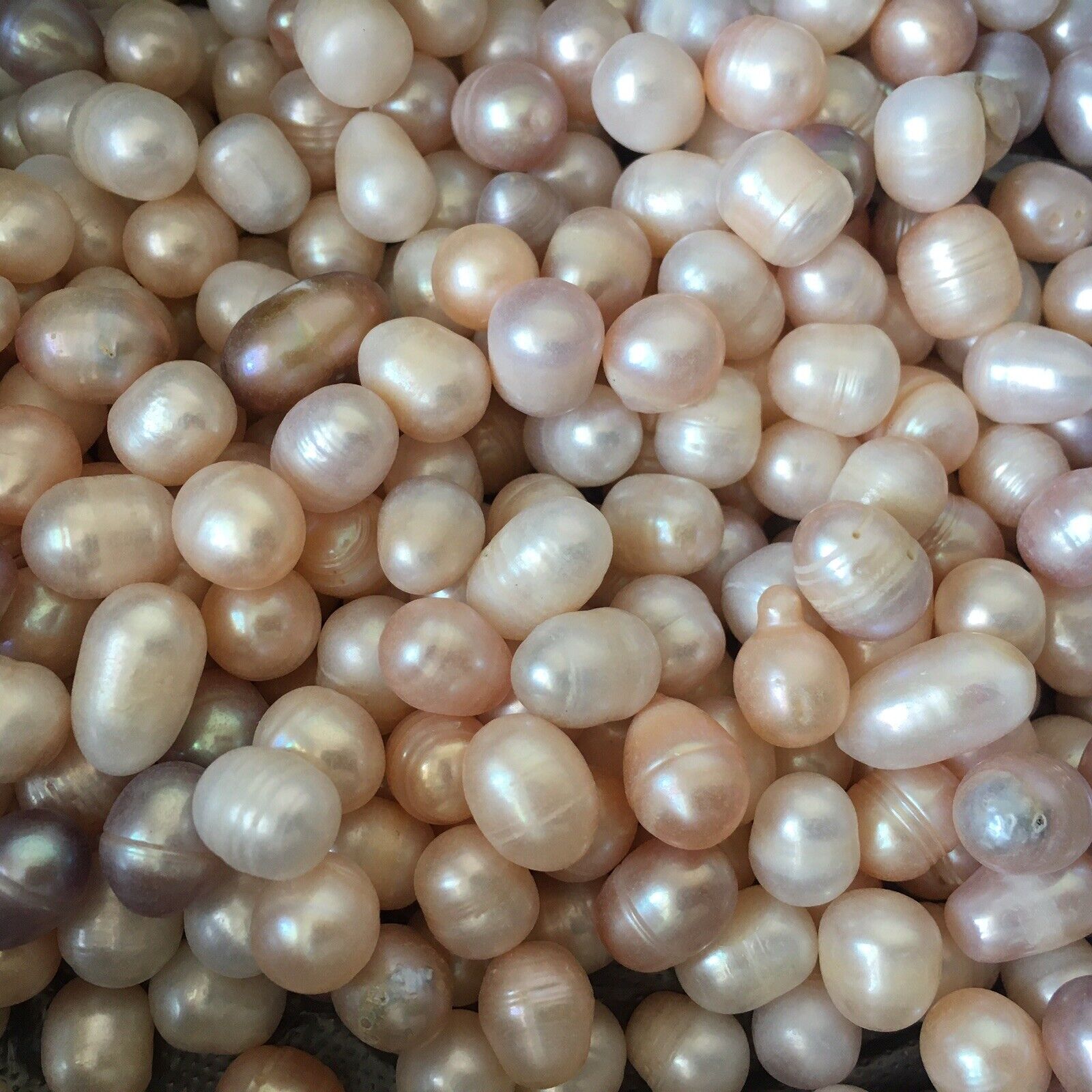 1000g Natural freshwater pearl specimen