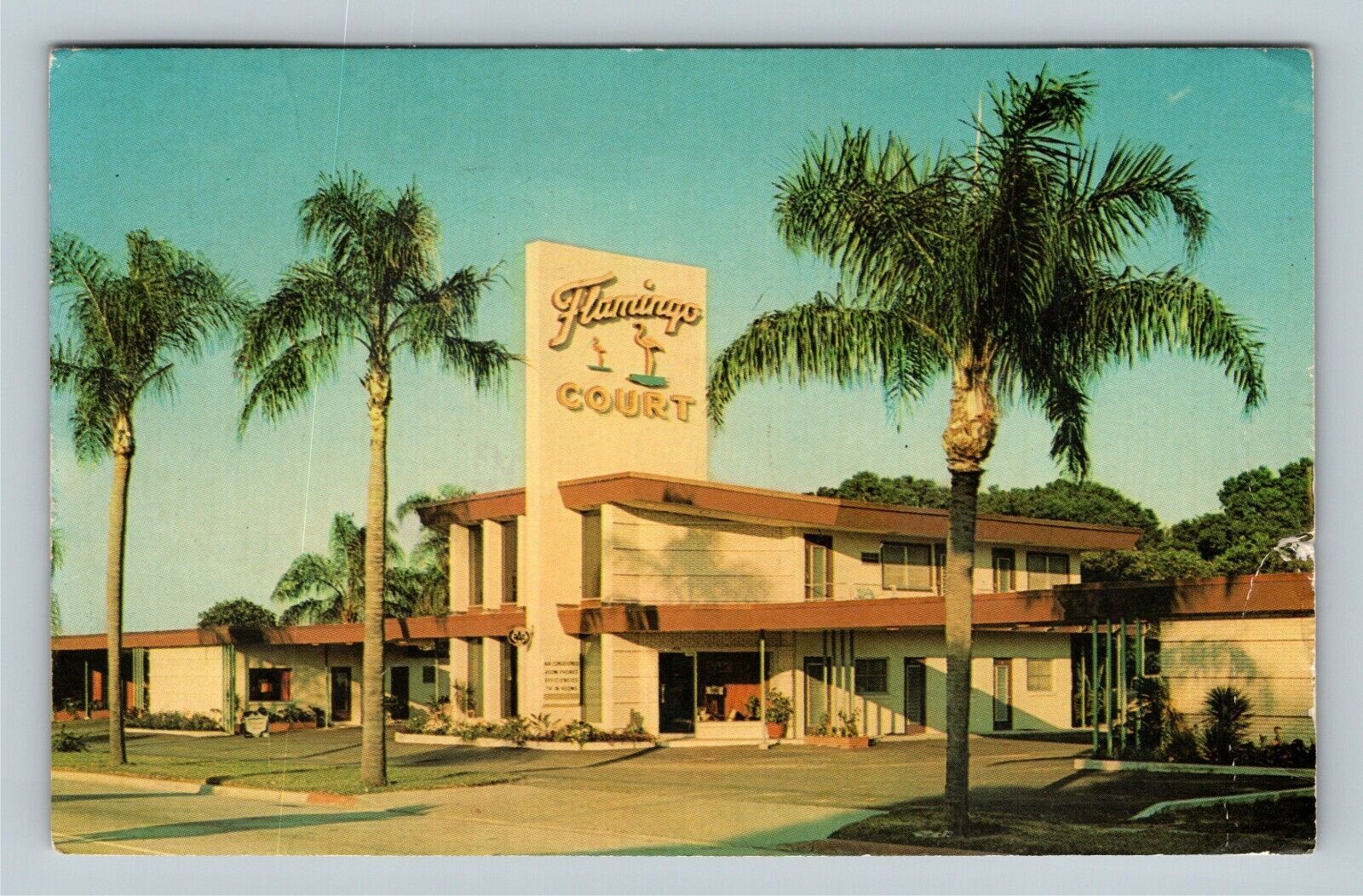 Orlando FL, Flamingo Court, Florida c1964 Vintage Postcard