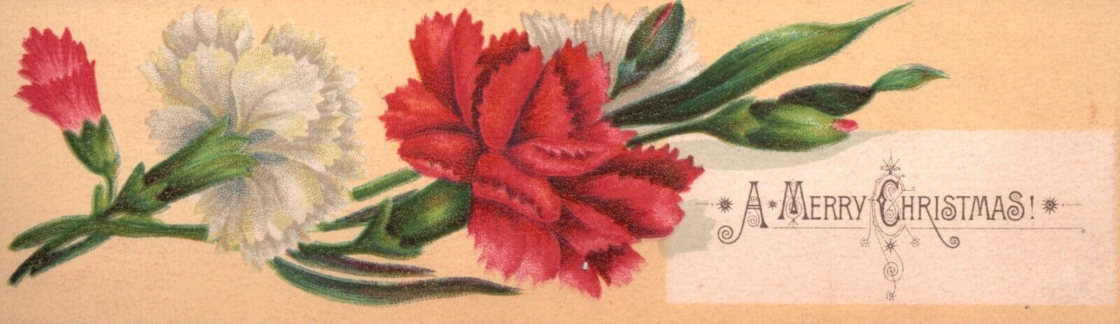 1880s-90s Red & White Blooming Flowers A Merry Christmas Trade Card