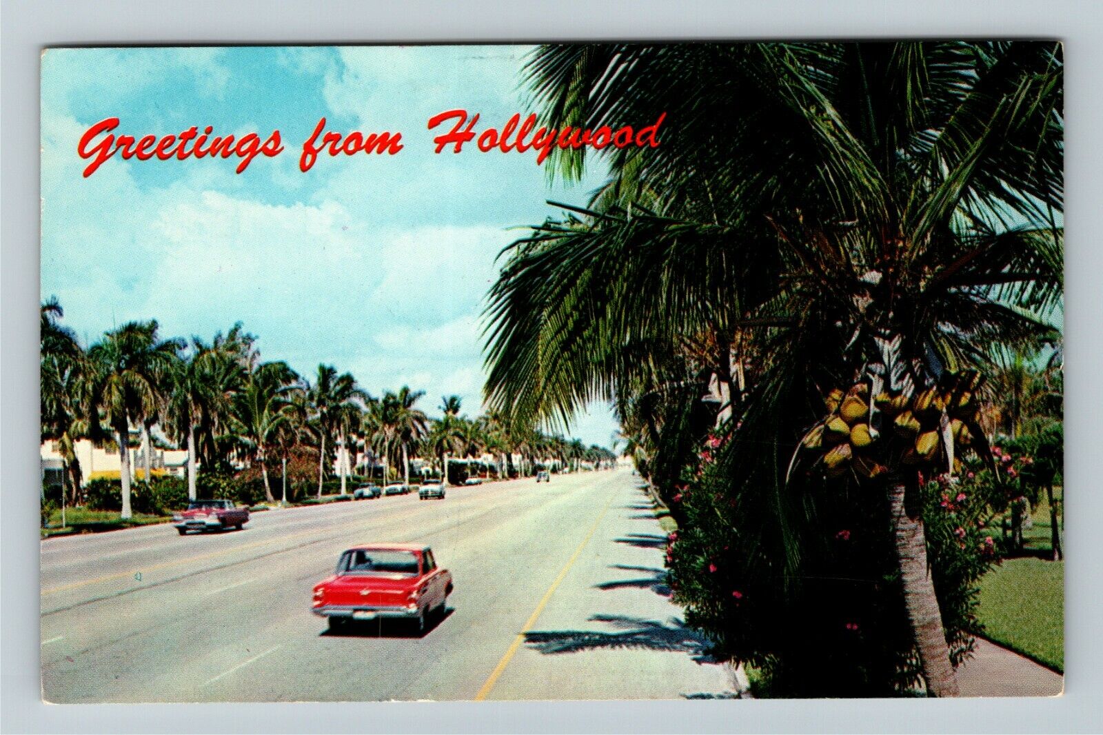 Hollywood FL-Florida, Street Scene, General Greetings, c1936 Vintage Postcard