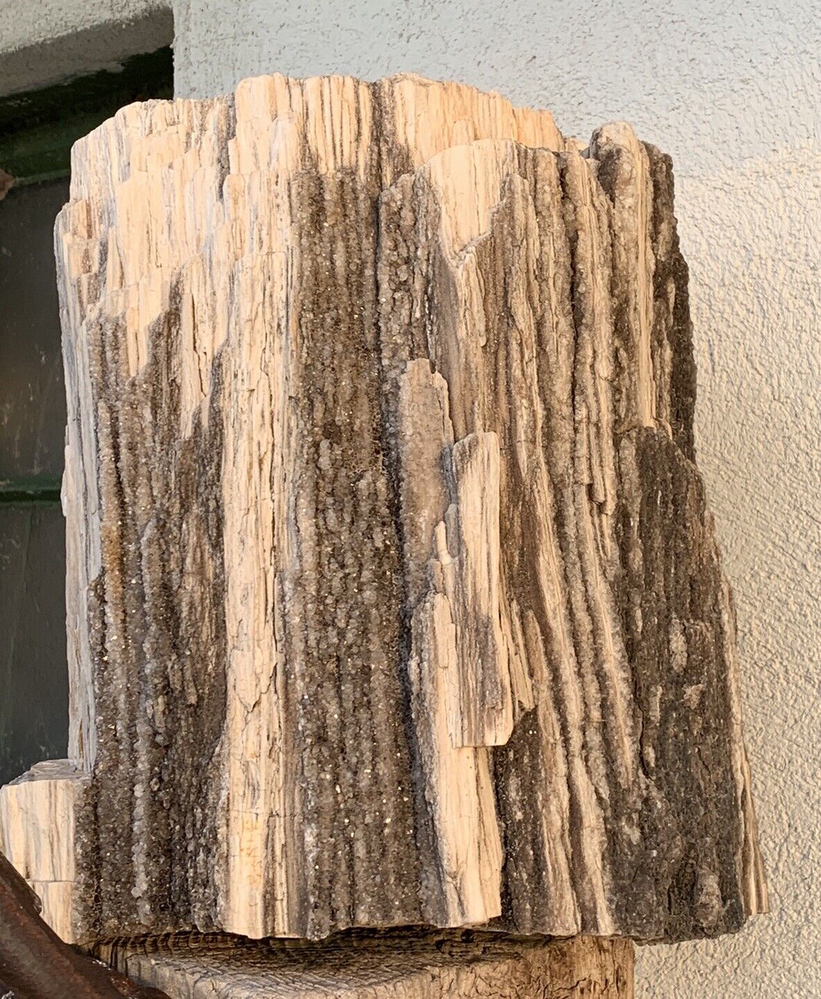 🍀RR⛏️: Rough Arizona Petrified Wood Loaded W/smoky Quartz, 64 Lb