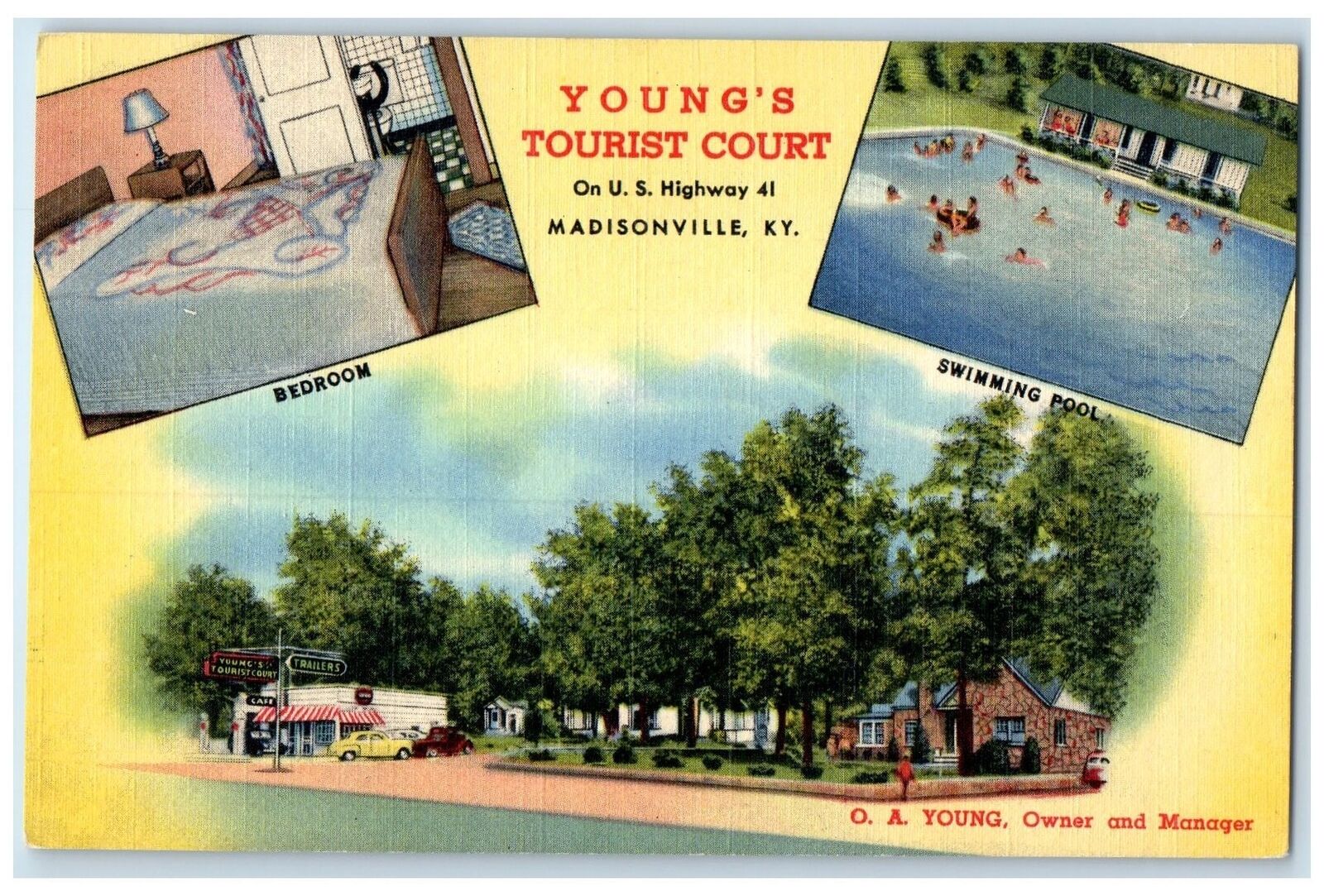 c1960s Young's Tourist Exterior Roadside Madisonville Kentucky KY Pool Postcard