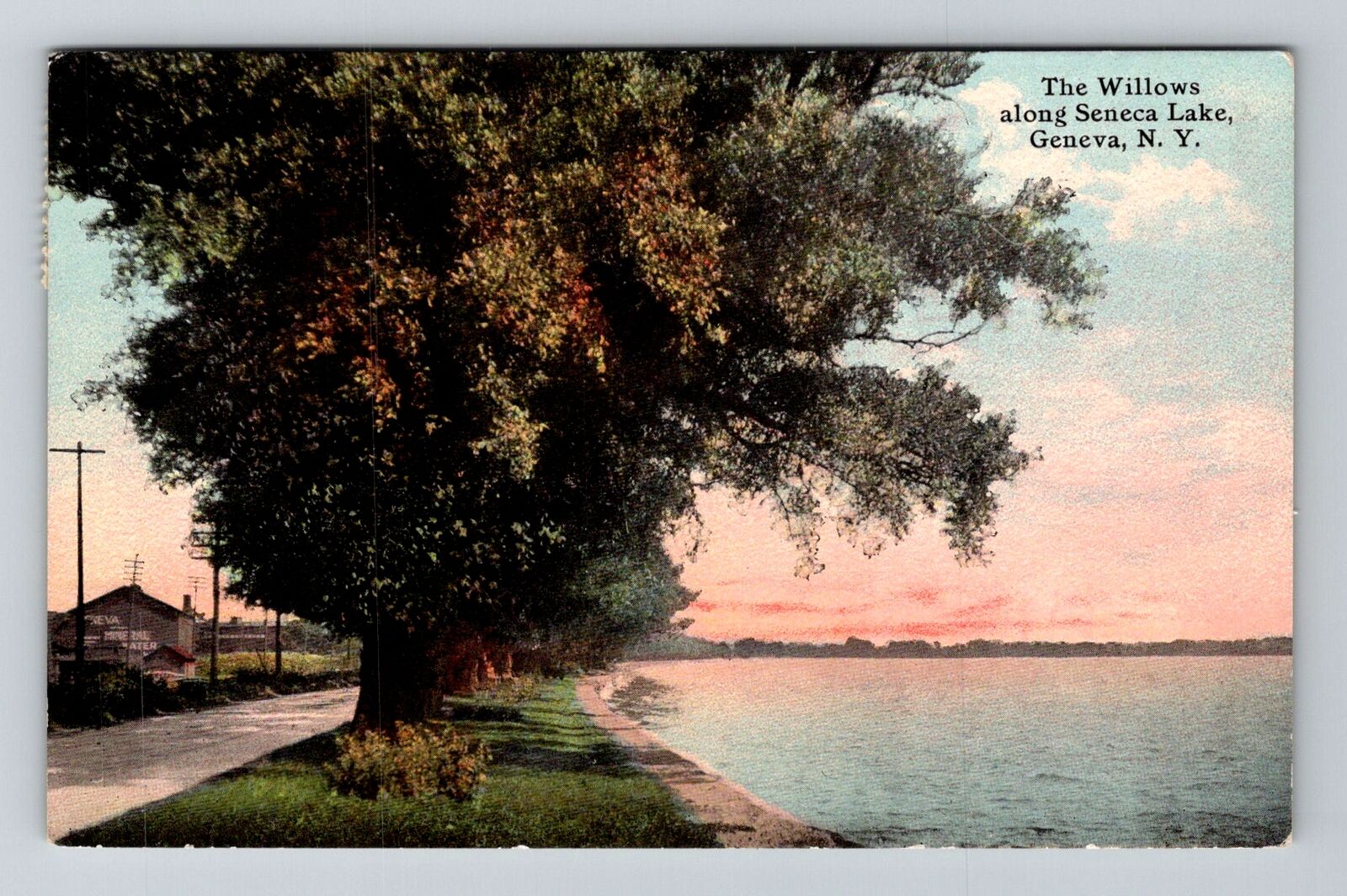 Geneva NY-New York, The Willows along Seneca Lake, c1911 Vintage Postcard