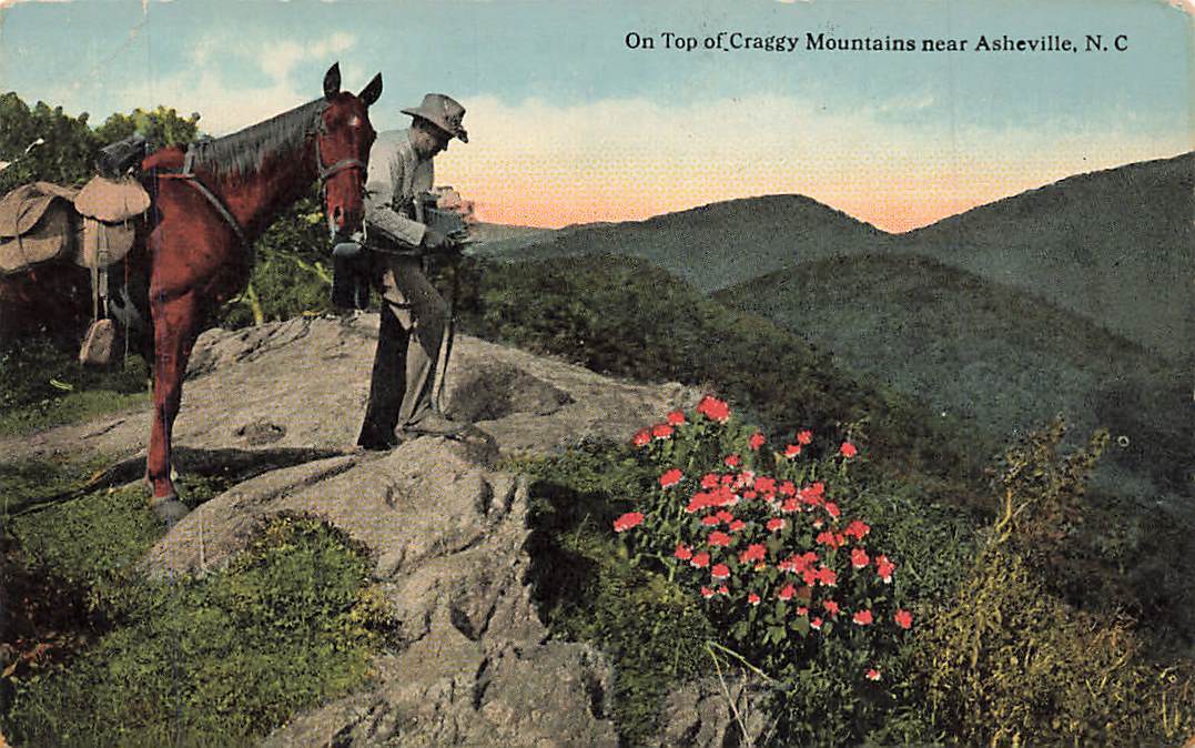 c1910 Man Rider Horse Summit Craggy Mountains Near Asheville NC P522