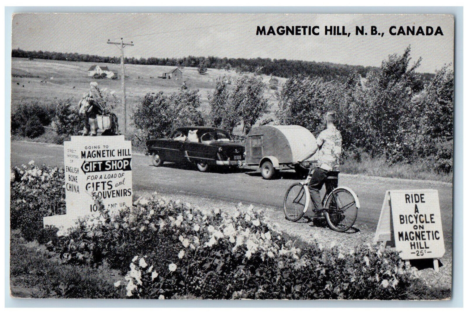 c1940s Magnetic Hill Gift Shop Stone Sign New Brunswick Canada Postcard