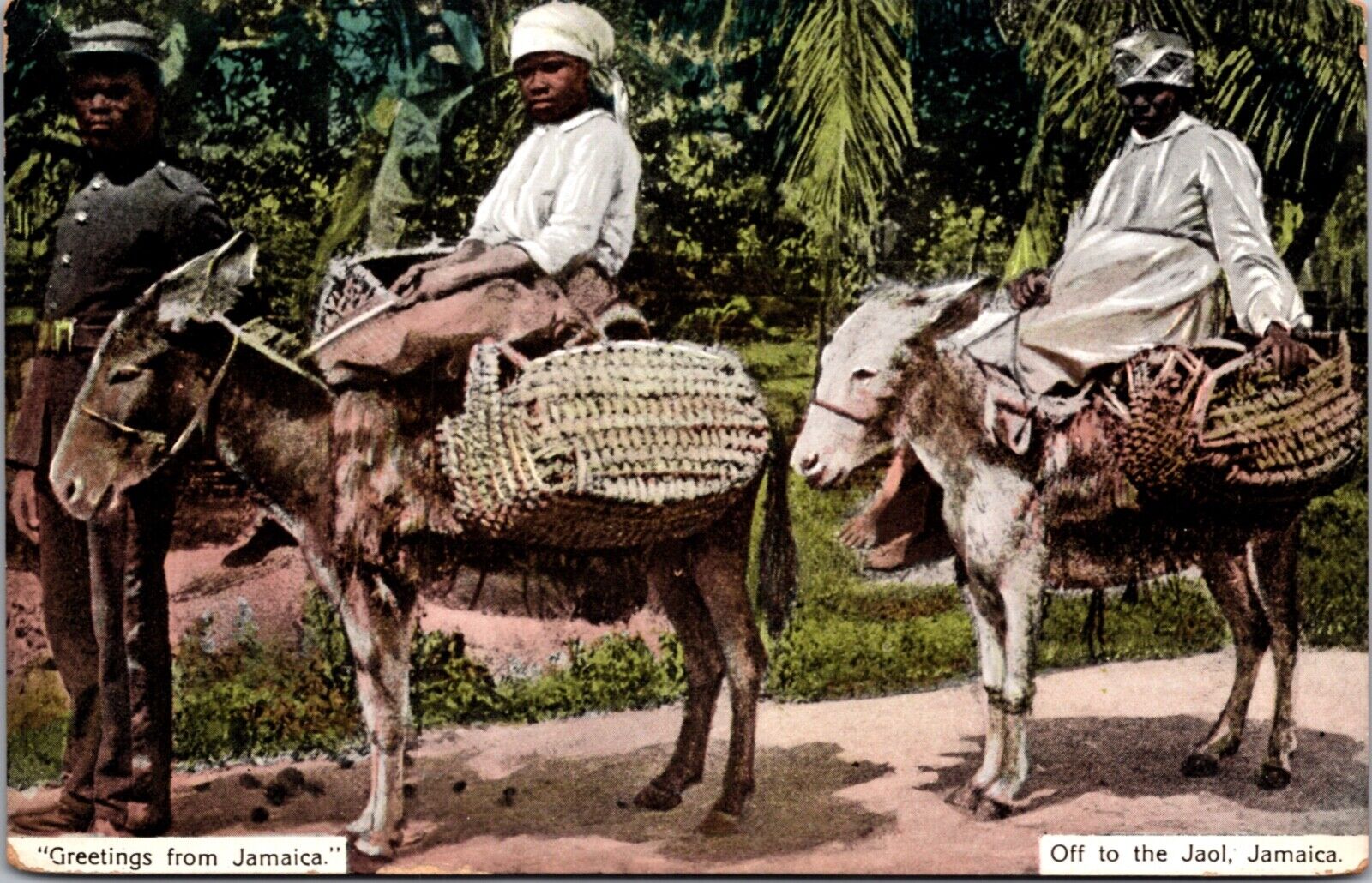 Postcard Greetings From Jamaica, Off To The Jail, People Riding Donkeys