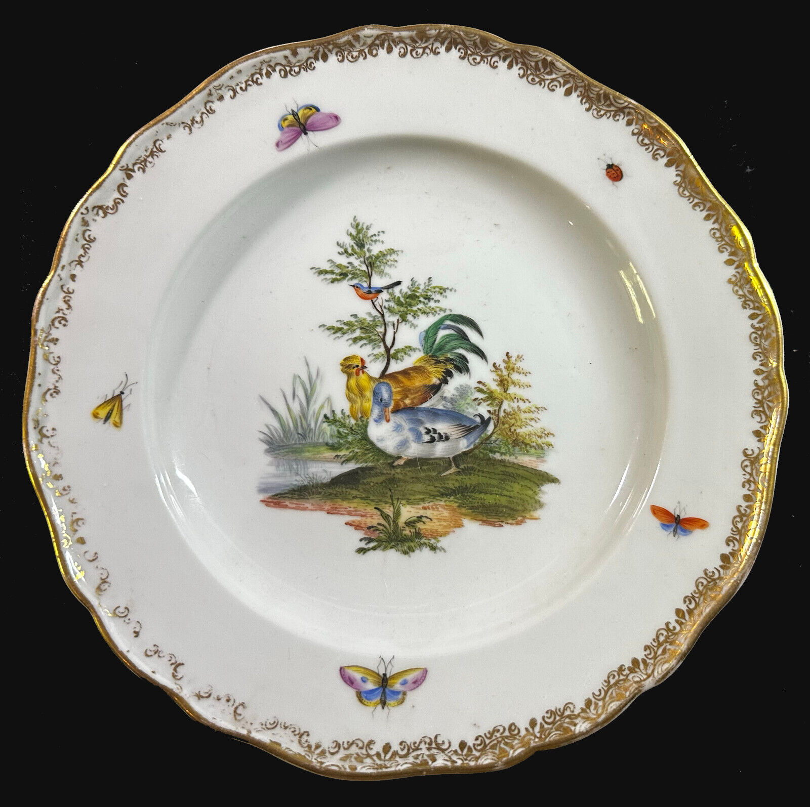 A rare 19th Century Meissen Plate decorated privately with birds and insects