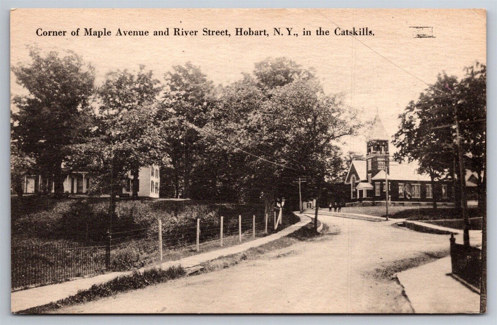 Maple Ave & River Street Catskills Hobart NY C1910's Postcard L15