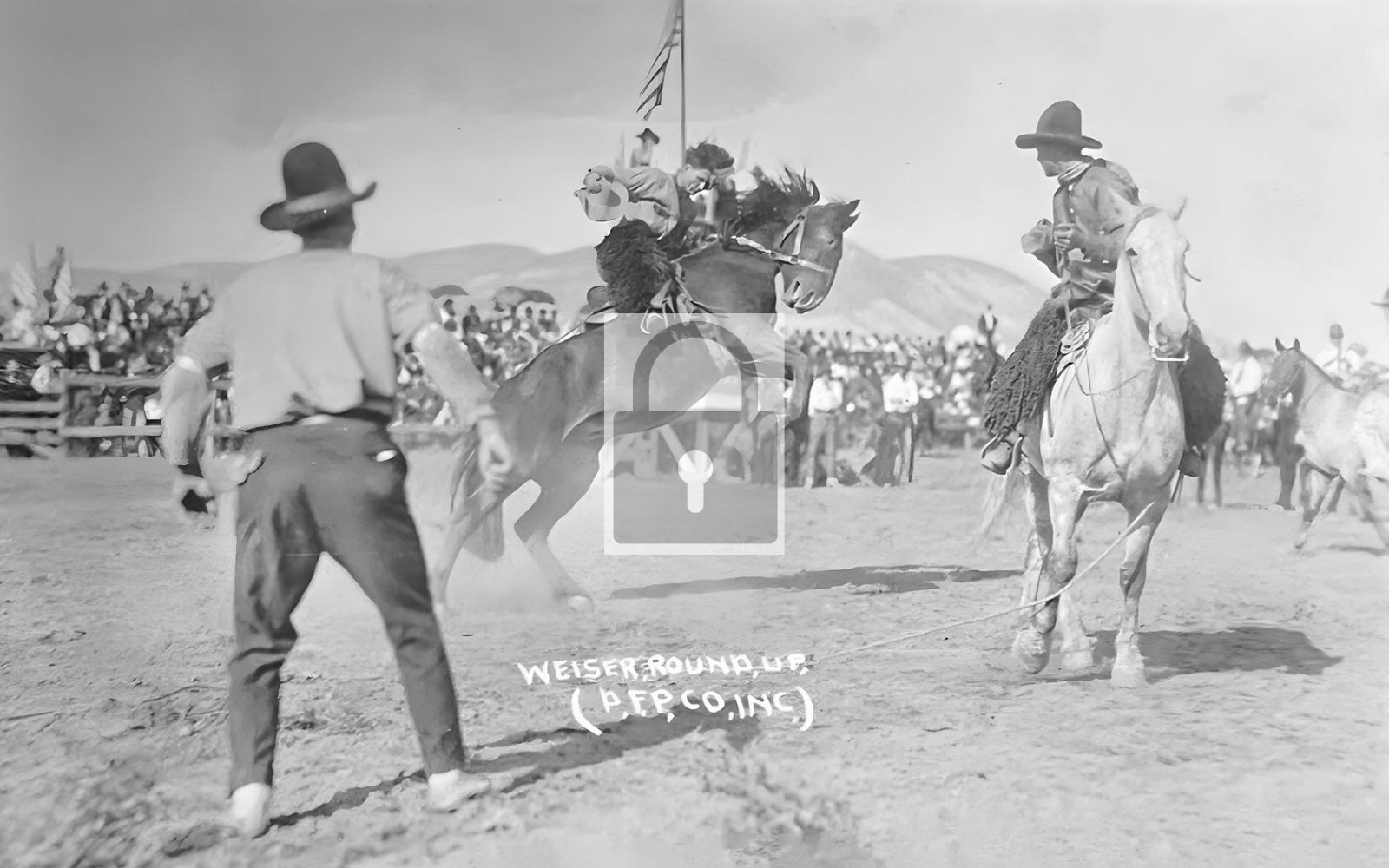 Horse Rodeo Round Up Weiser Idaho ID
