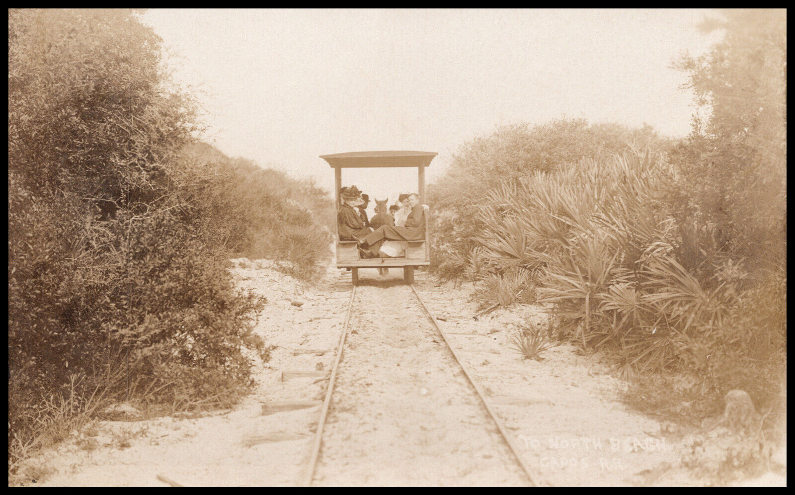 St. Augustine, FL, Horsedrawn Tram, Capo's / North Beach Railroad, Postcard RPPC