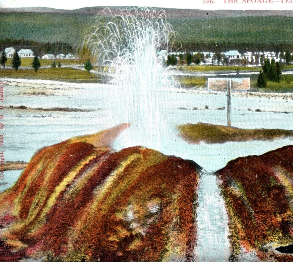 The Sponge Geyser Hill Upper Basin Scheuber Yellowston National Park Postcard A7