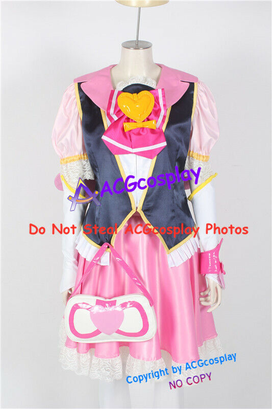 HeartCatch Pretty Cure cosplay Aino Megumi Cosplay Costume Happinesscharge
