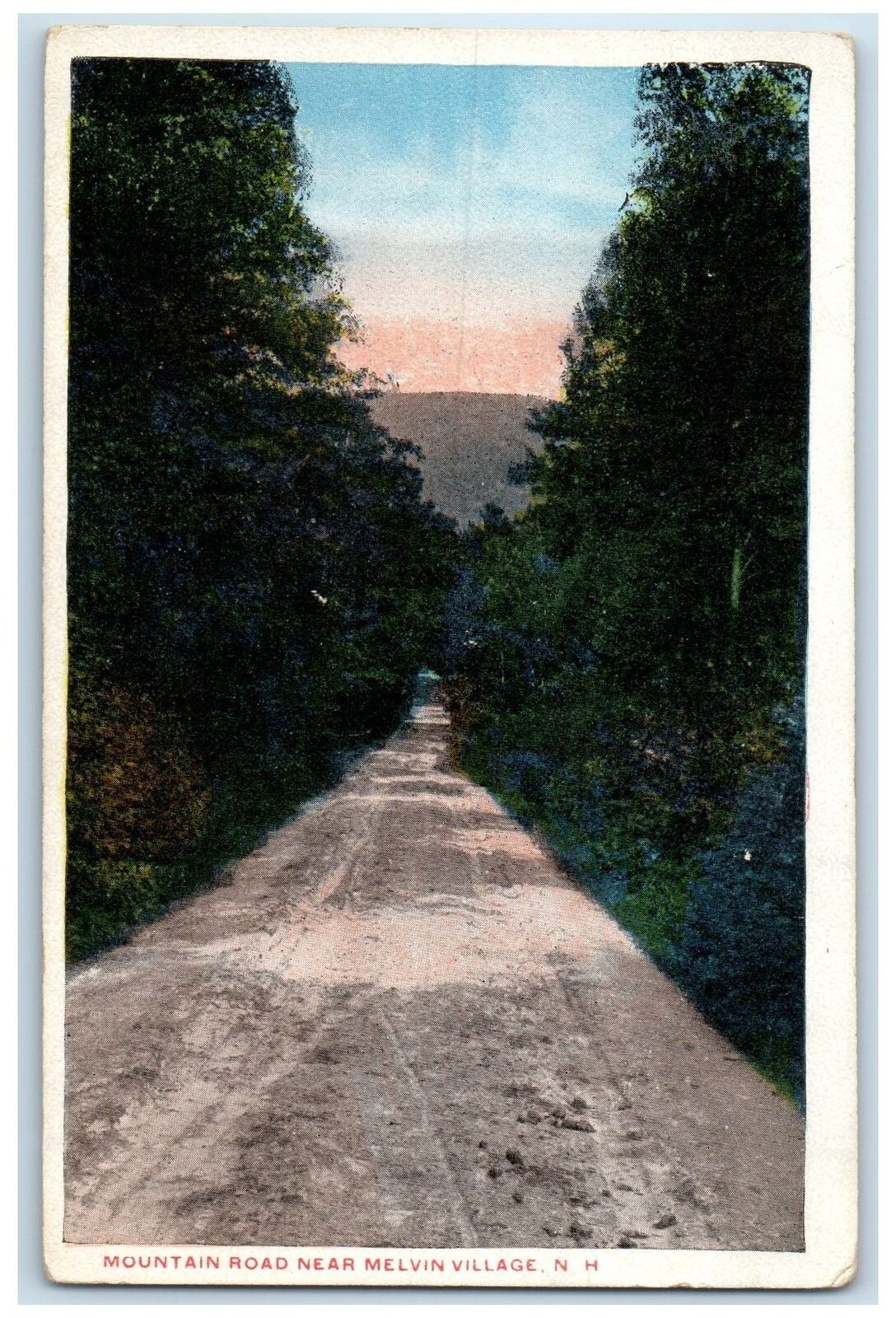 c1920's Mountain Dirt Road Grove Near Melvin Village New Hampshire NH Postcard