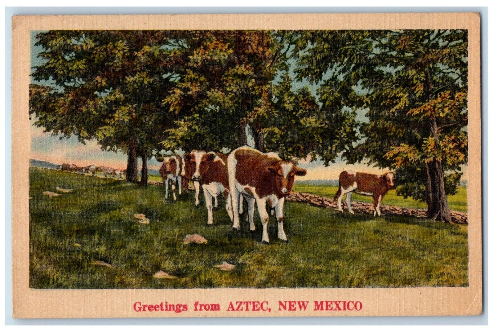 1943 Greetings From Cow Herd Field Aztec New Mexico NM Vintage Antique Postcard