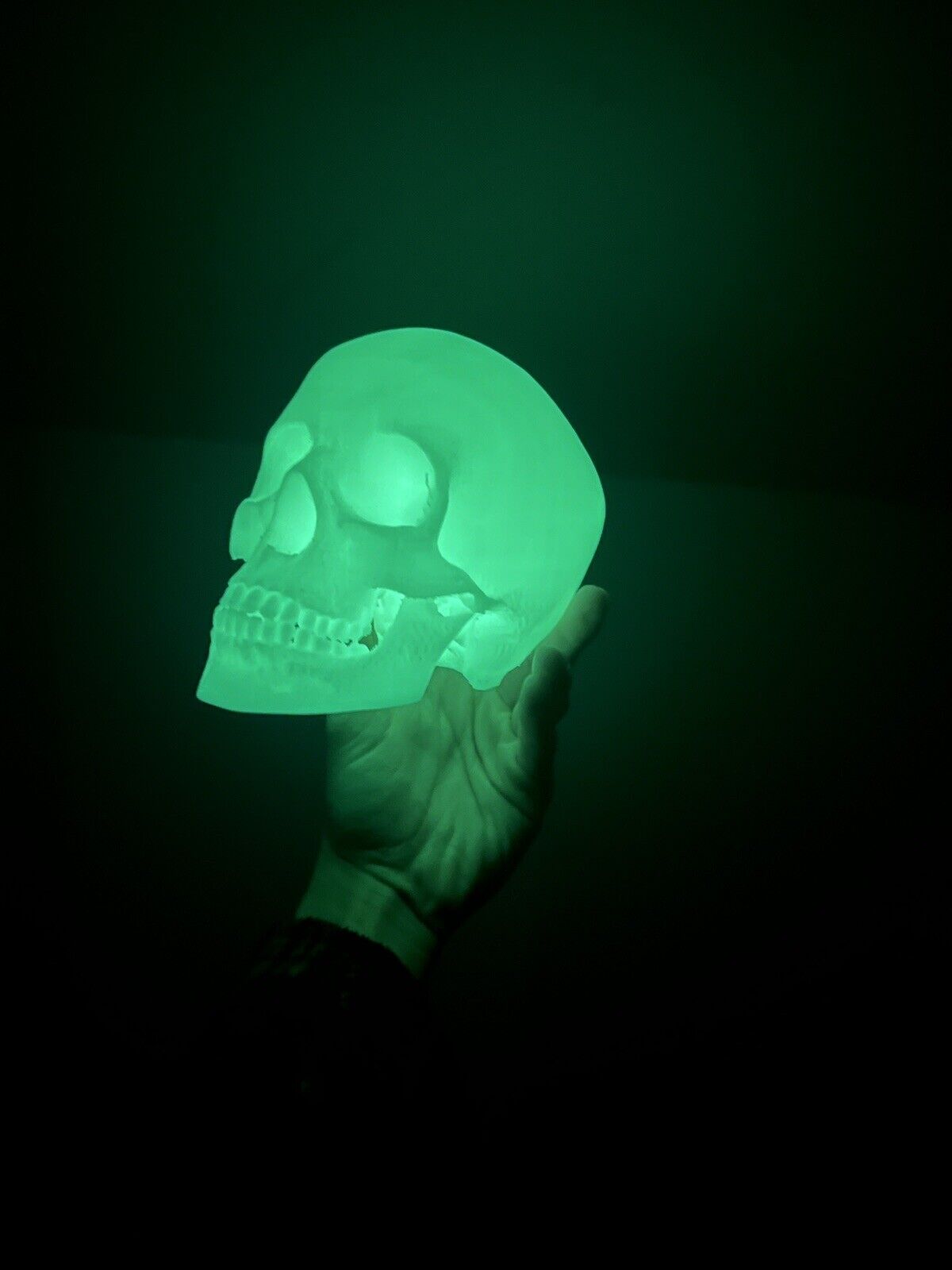 Glow In the Dark Human Skull (Good Quality) (3DP:White-PLA) GREEN OR BLUE GLOW