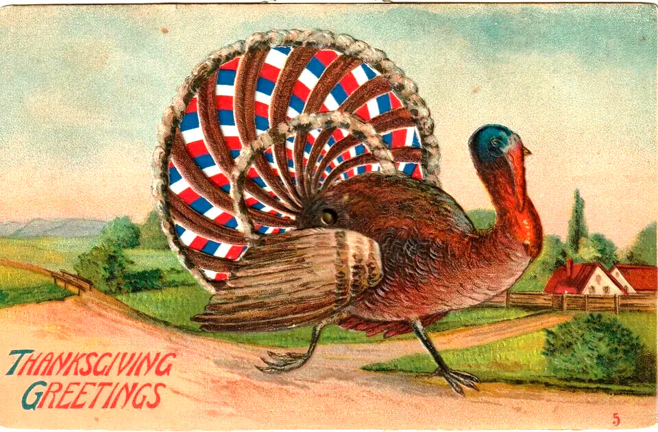 Mechanical  Turkey Thanksgiving Kaleidoscope Spinner~ Novelty Postcard-k656