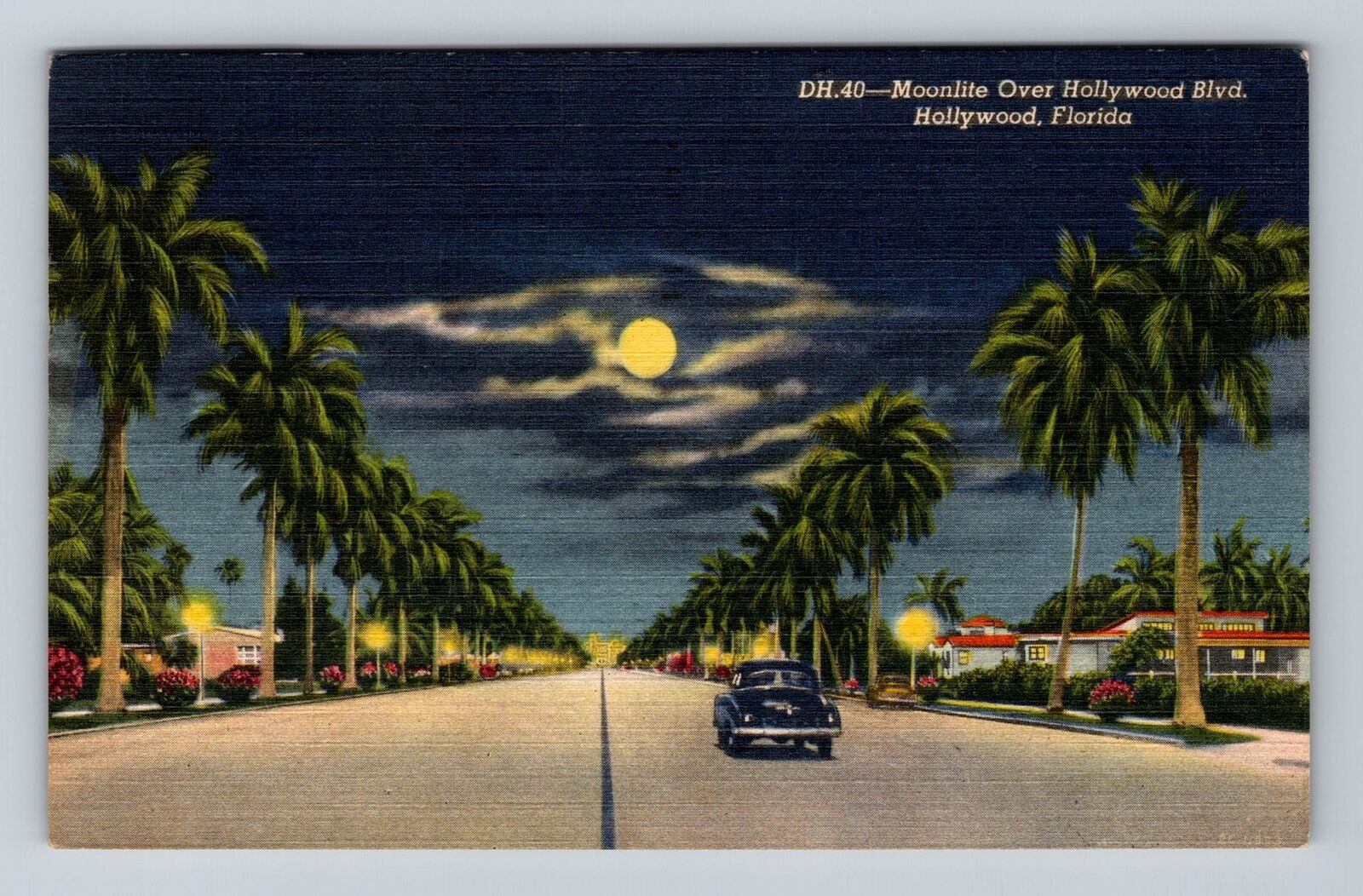 Hollywood FL-Florida, Moonlight over Hollywood Blvd, Antique Vintage Postcard