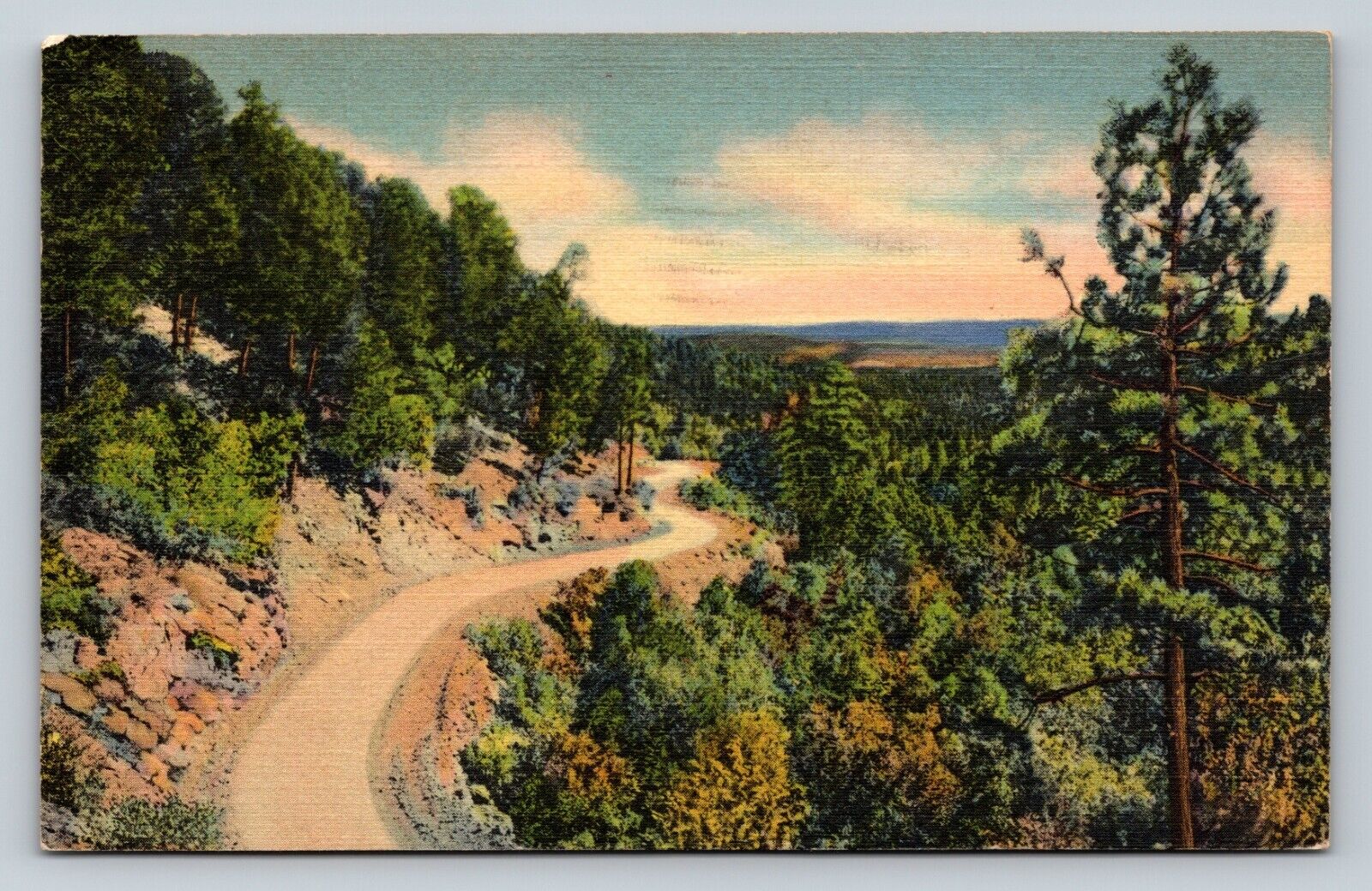 c1937 Sandia Loop Road, Near Albuquerque, New Mexico NM VINTAGE Postcard