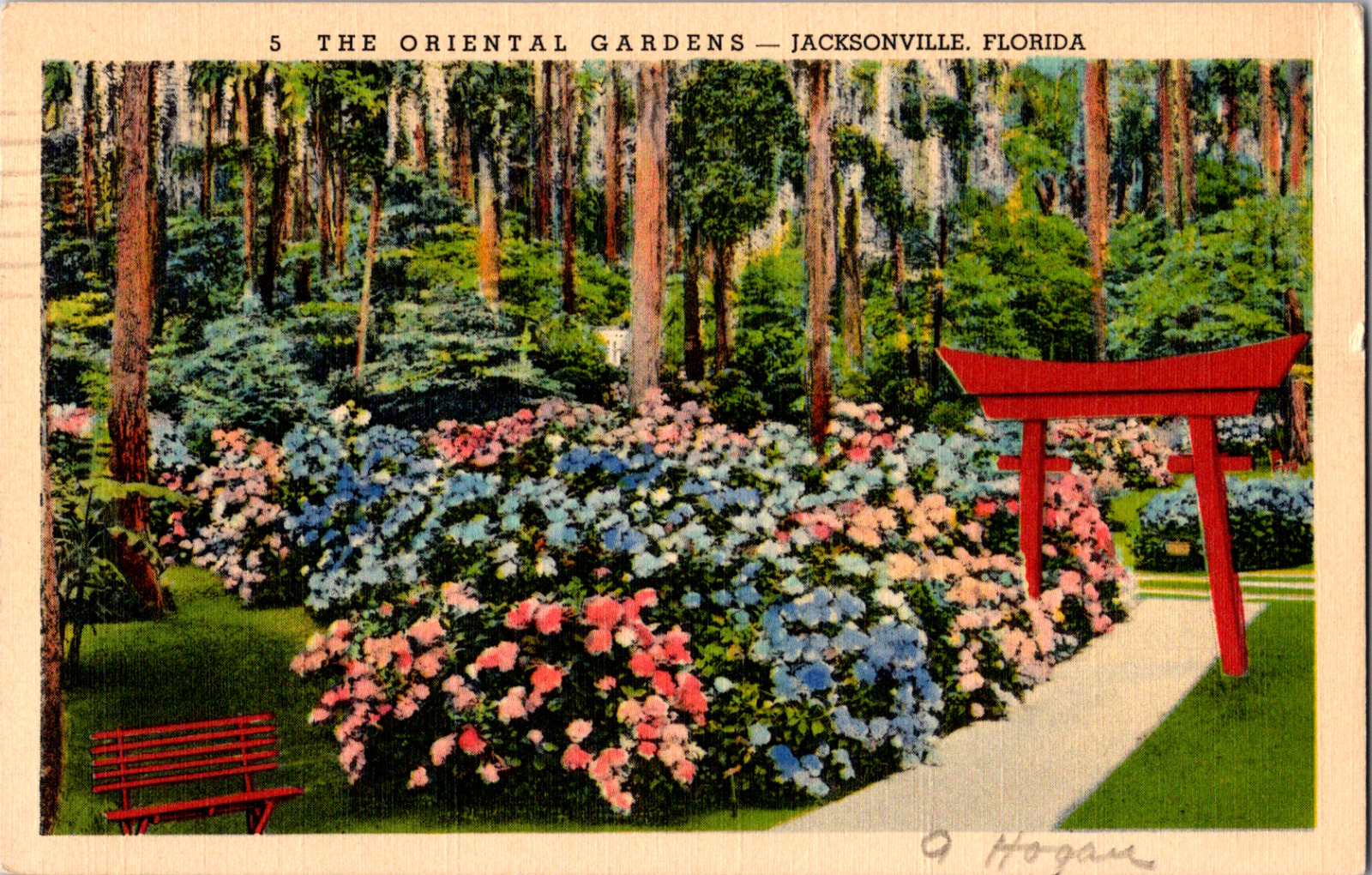 Vintage 1939 Oriental Gardens, San Jose Blvd. Jacksonville Florida FL Postcard 