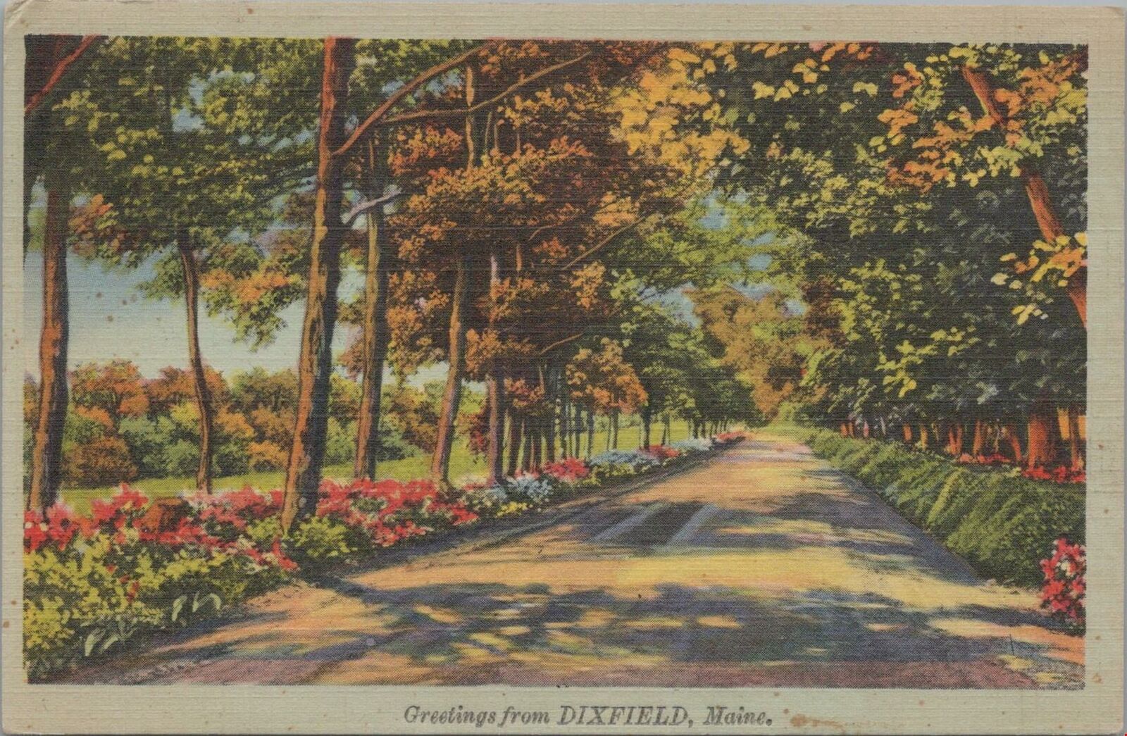Postcard Greetings from Dixfield Maine ME 