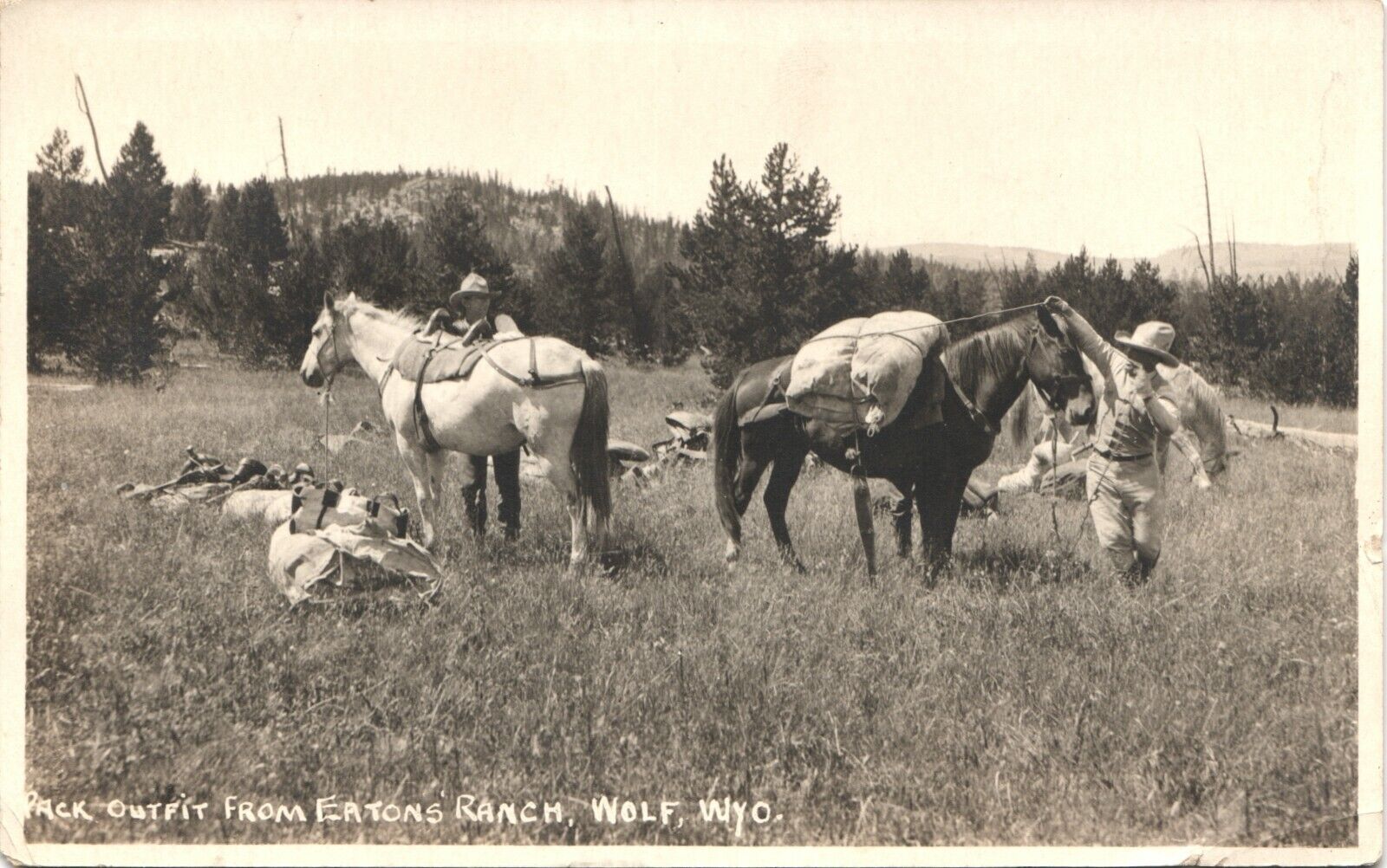 WOLF, WY, PACK OUTFIT real photo postcard WYOMING RPPC 1920 HORSES eaton's ranch