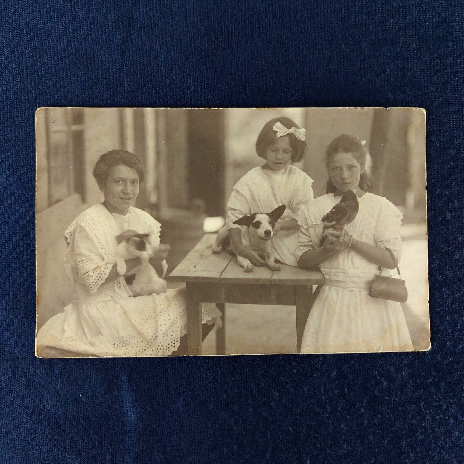 Old Postcard Girls With Pets, Cat, Puppy Dog, Pigeon RPPC Budapest 1915