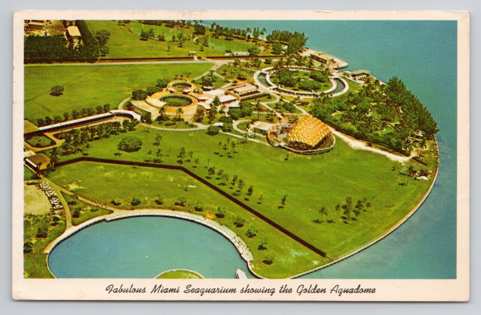 Postcard Fabulous Miami Seaquarium Showing The Golden Aguadome Florida 1962