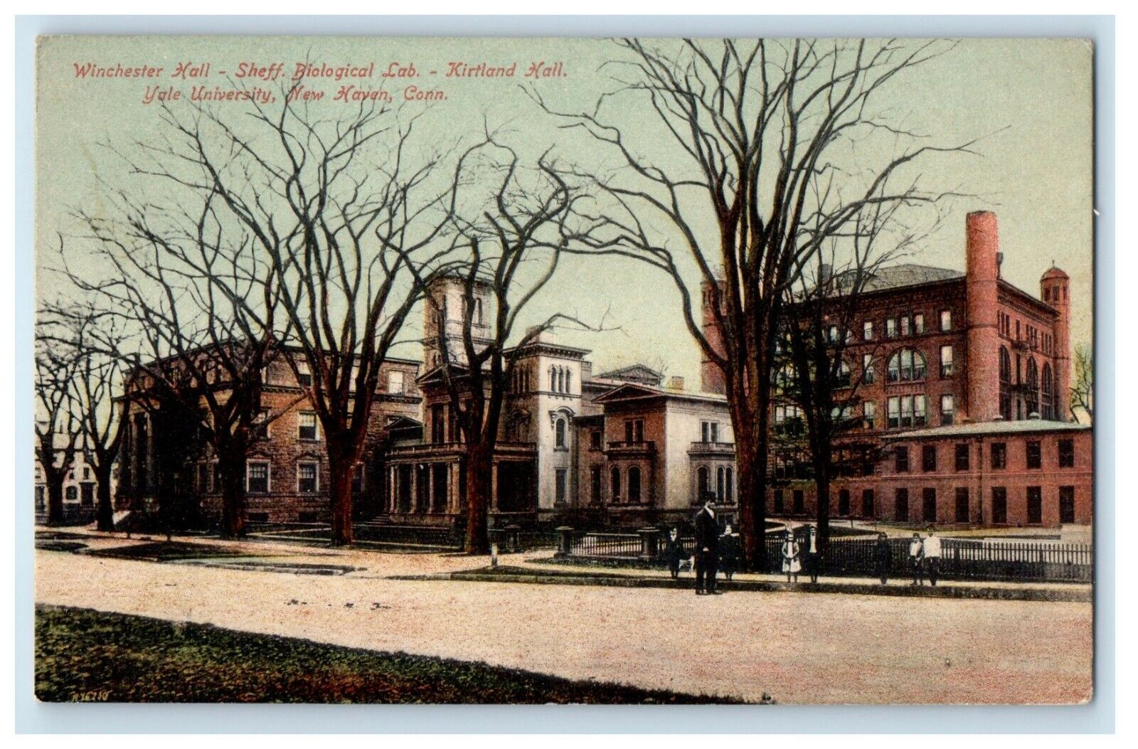1912 Winchester Hall Sheff Biological Lab Kirtland Hall Yale University Postcard