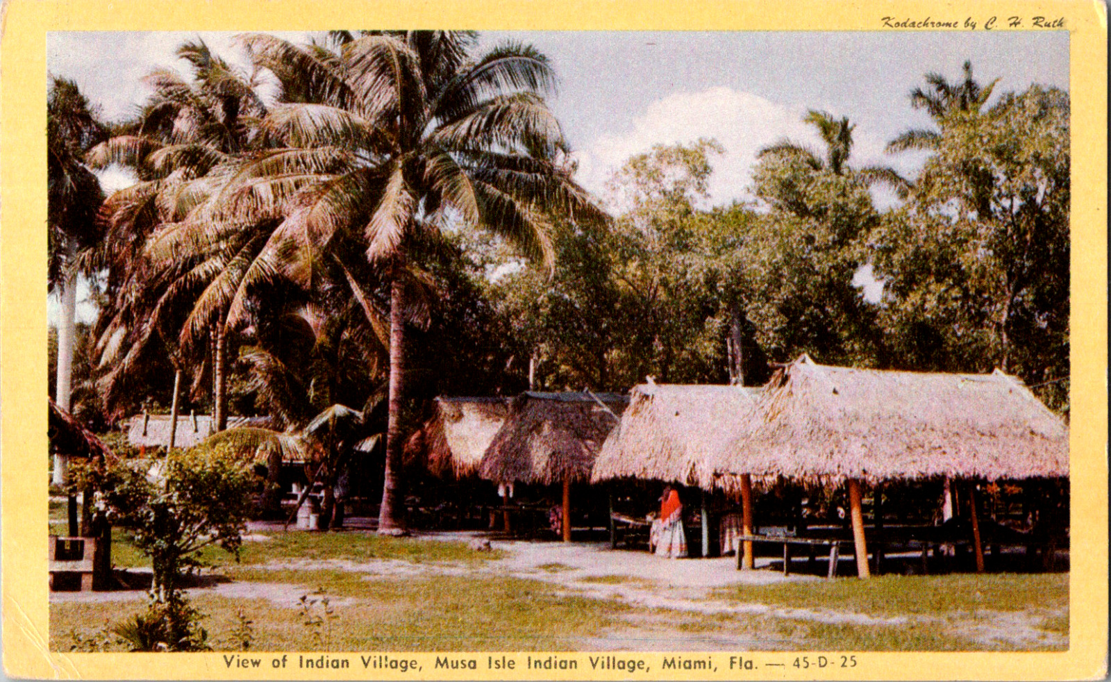 Vintage C 1940's Musa Isle Indian Village Miami Florida FL Postcard Attraction